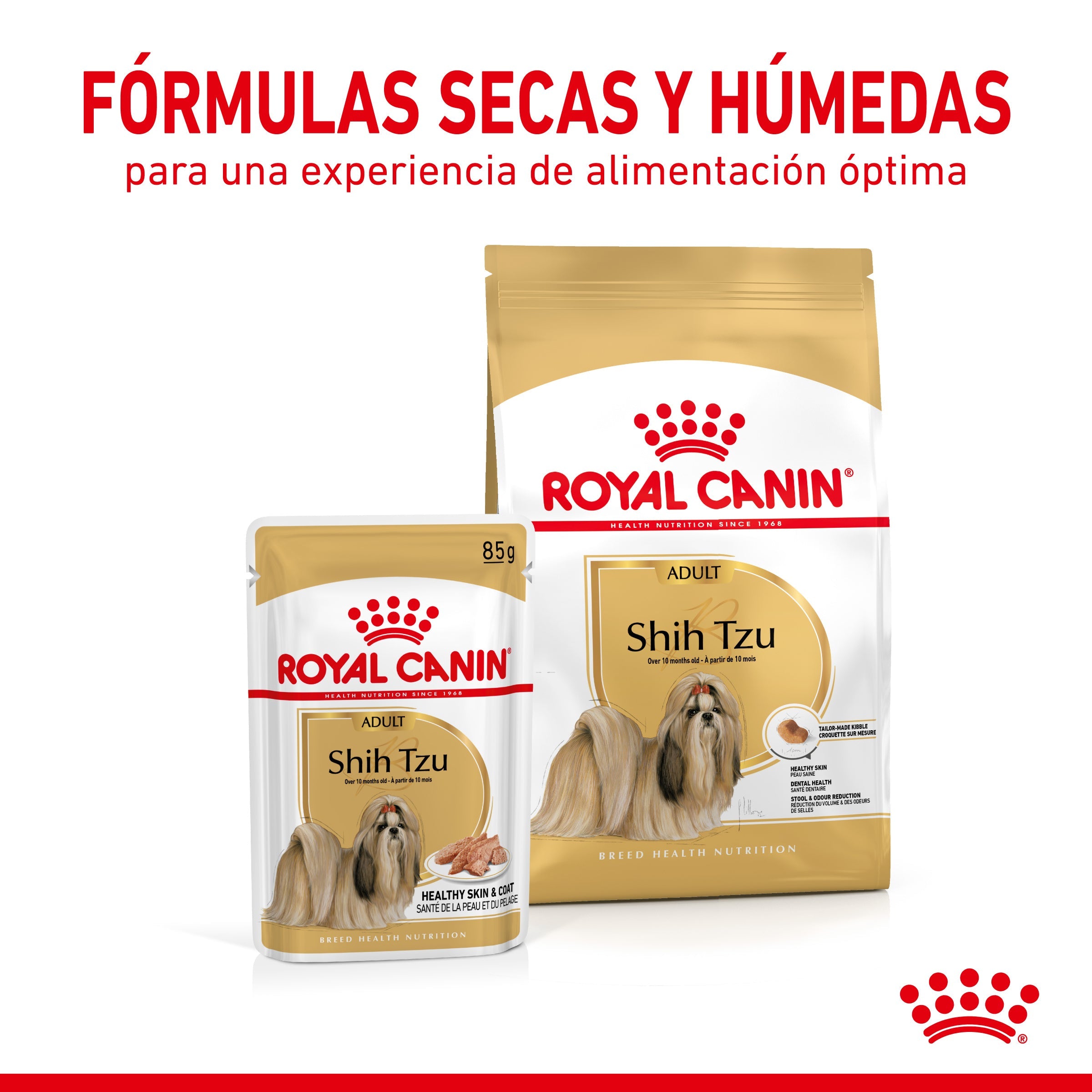 Royal Canin Shih Tzu Paté Adulto 85 g Comida Húmeda para Perros al mejor precio -todoastorenimal.com