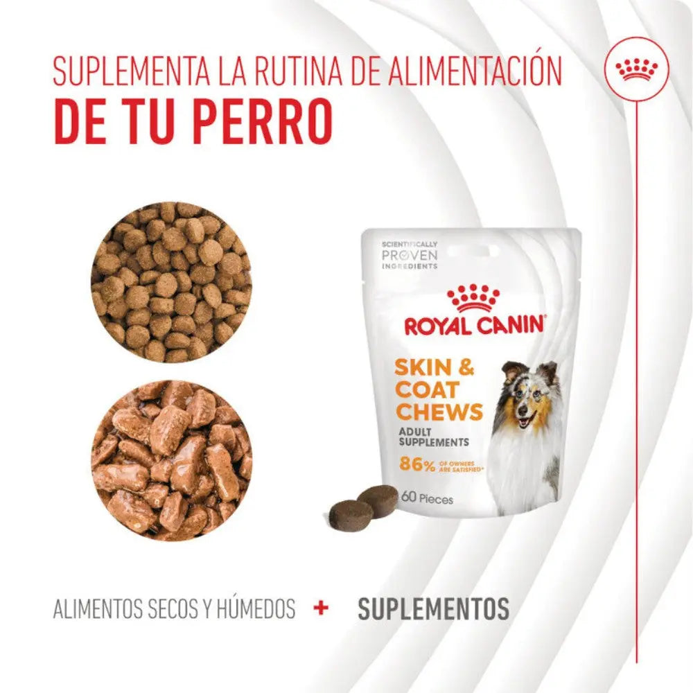 Royal Canin Skin & Coat Chews 240 g Suplemento para Perros Adultos al mejor precio -todoastorenimal.com