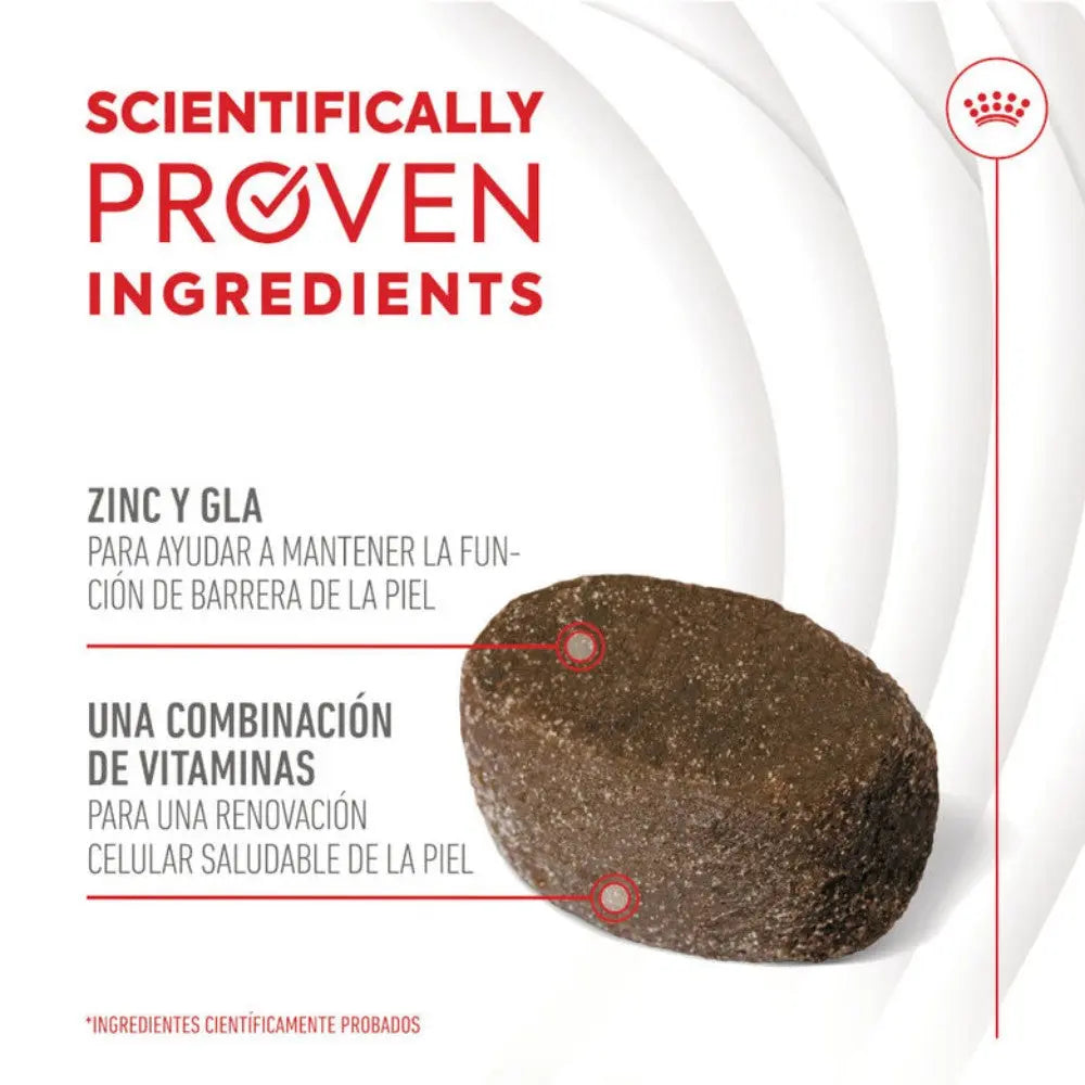 Royal Canin Skin & Coat Chews 240 g Suplemento para Perros Adultos al mejor precio -todoastorenimal.com