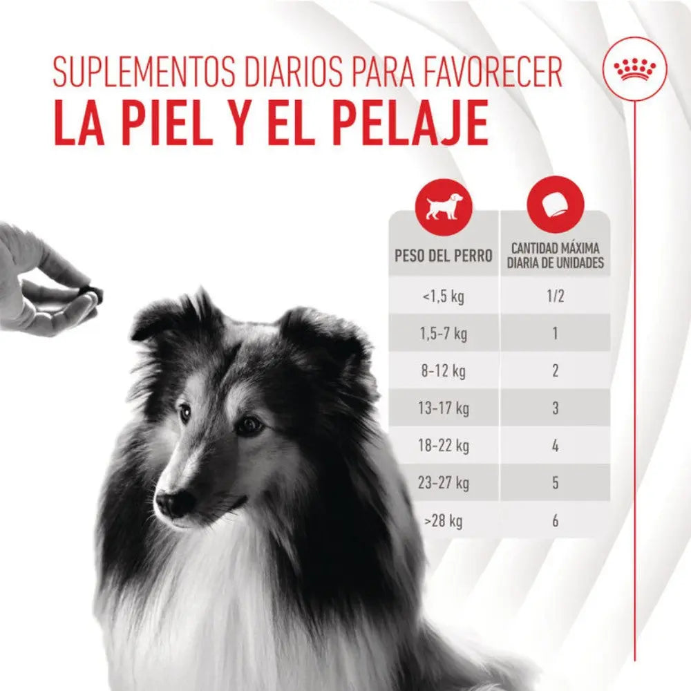 Royal Canin Skin & Coat Chews 240 g Suplemento para Perros Adultos al mejor precio -todoastorenimal.com