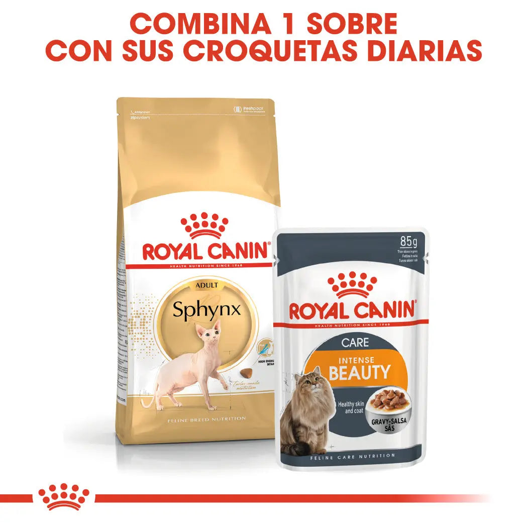 Royal Canin Sphynx 10 kg Pienso para Gatos Egipcios al mejor precio -todoastorenimal.com