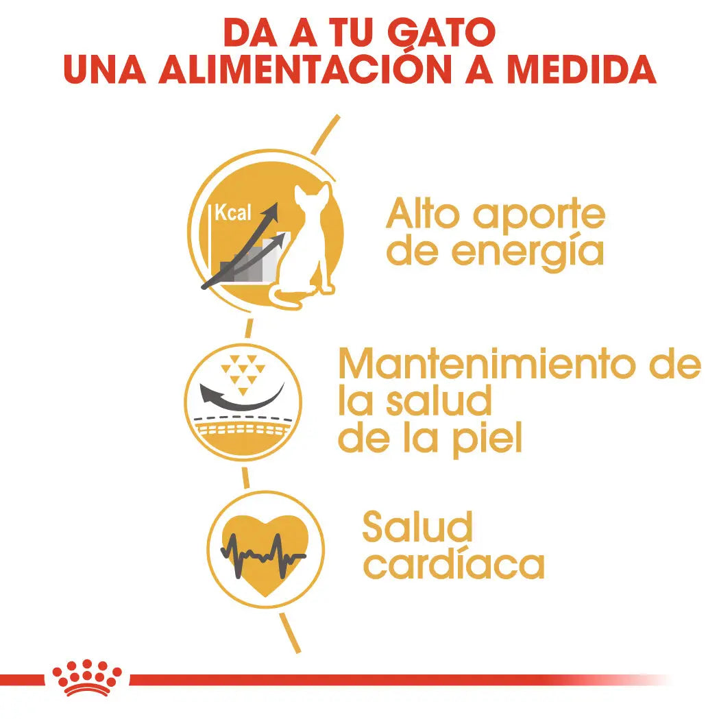 Royal Canin Sphynx 10 kg Pienso para Gatos Egipcios al mejor precio -todoastorenimal.com