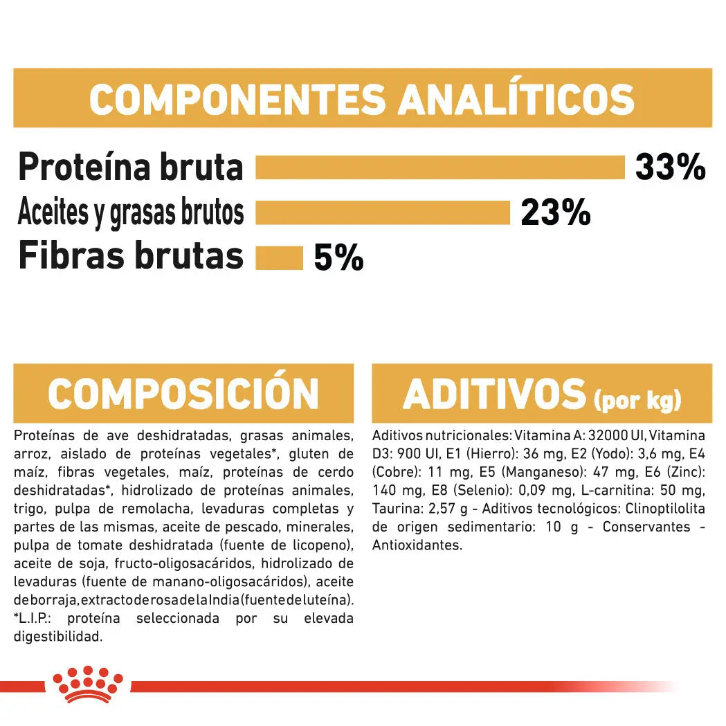 Royal Canin Sphynx 10 kg Pienso para Gatos Egipcios al mejor precio -todoastorenimal.com