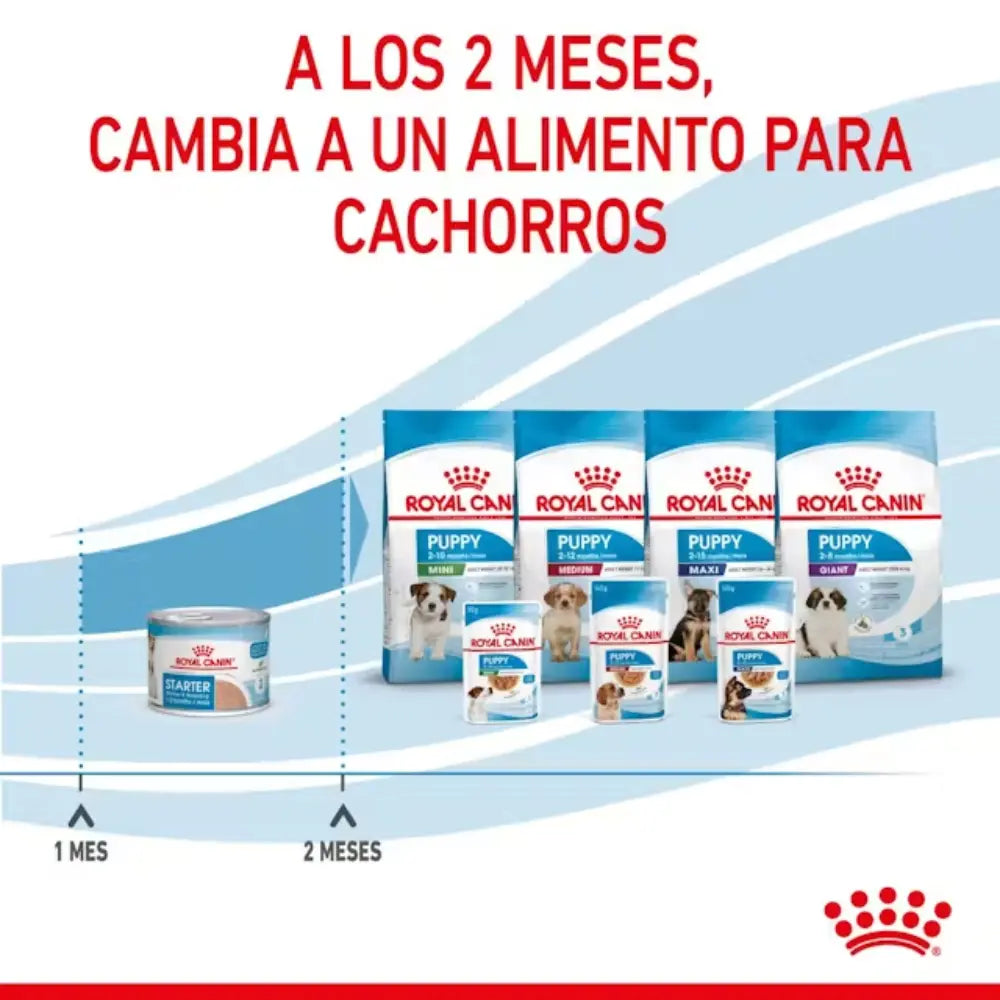 Royal Canin Starter Mousse Lata 195 g Húmedo al mejor precio -todoastorenimal.com