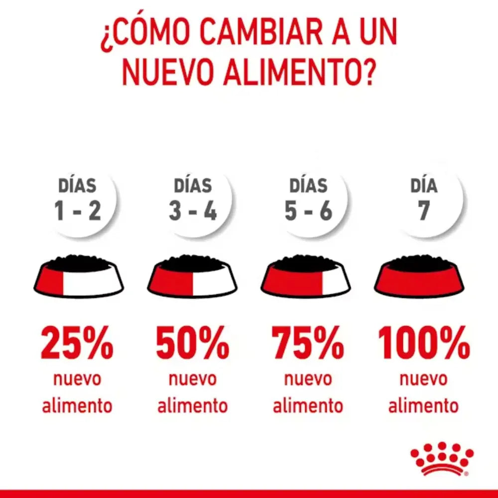 Royal Canin Starter Mousse Lata 195 g Húmedo al mejor precio -todoastorenimal.com