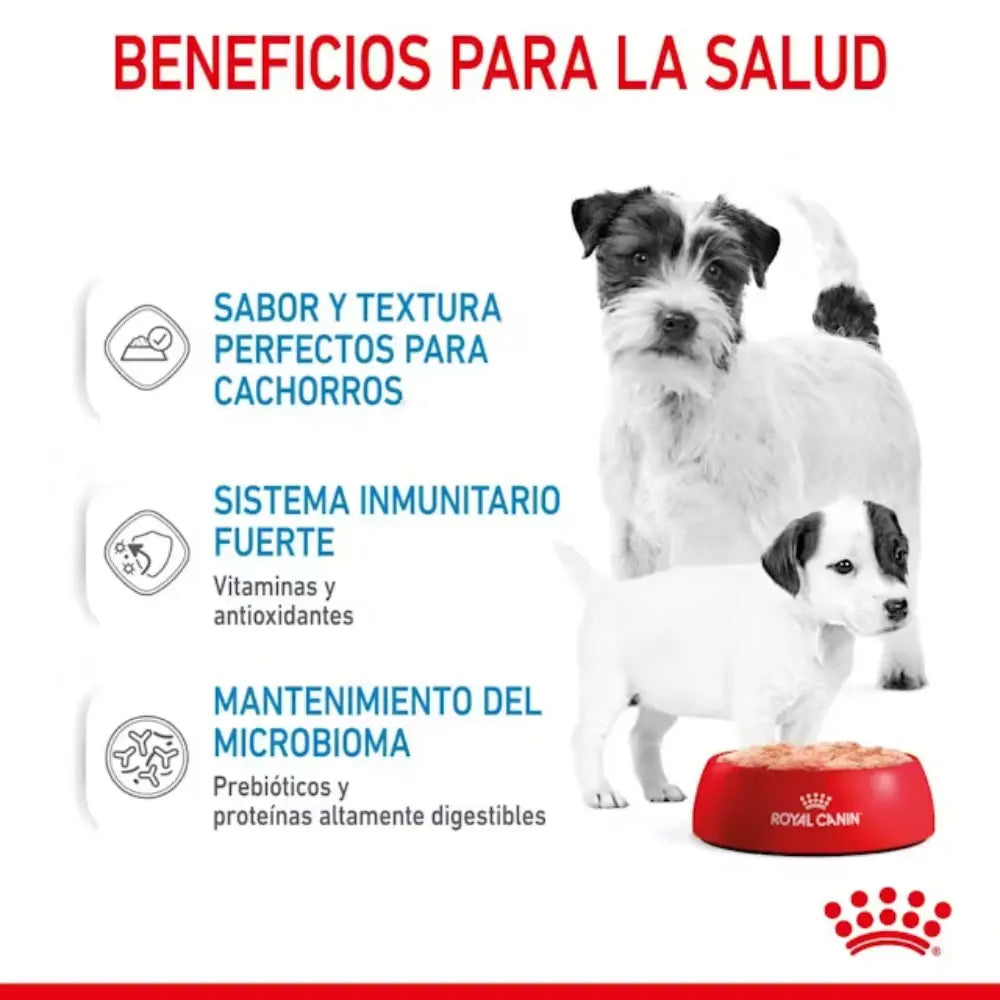 Royal Canin Starter Mousse Lata 195 g Húmedo al mejor precio -todoastorenimal.com