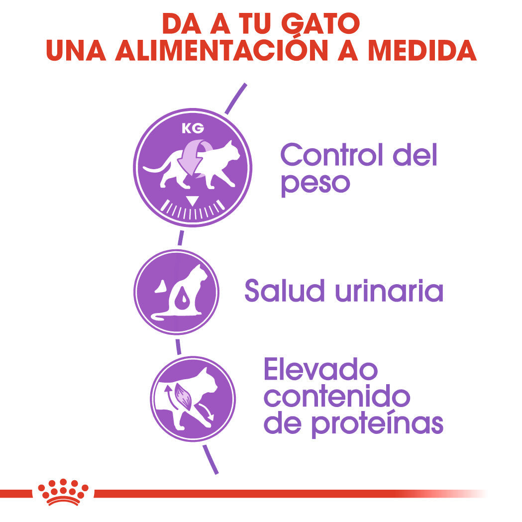 Royal Canin Sterilized 37 Pienso para Gatos Esterilizados al mejor precio -todoastorenimal.com
