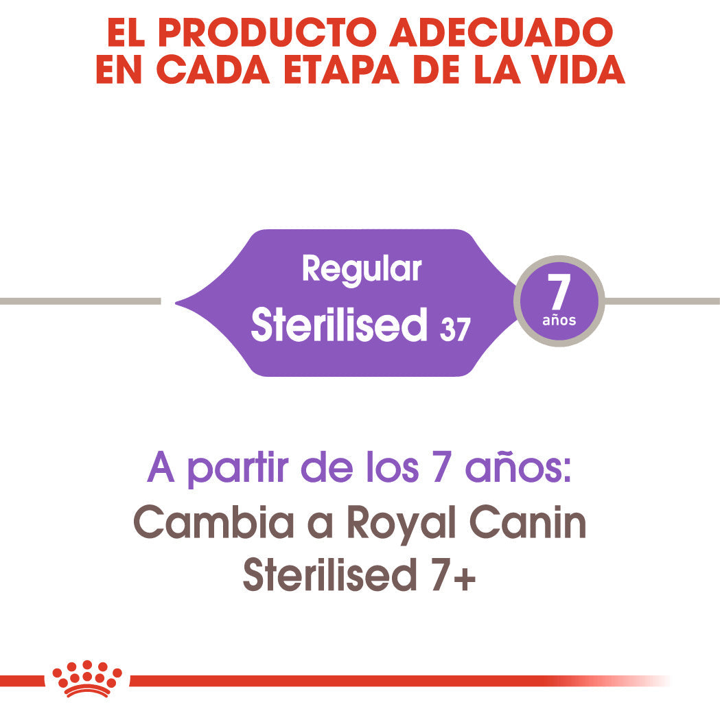 Royal Canin Sterilized 37 Pienso para Gatos Esterilizados al mejor precio -todoastorenimal.com