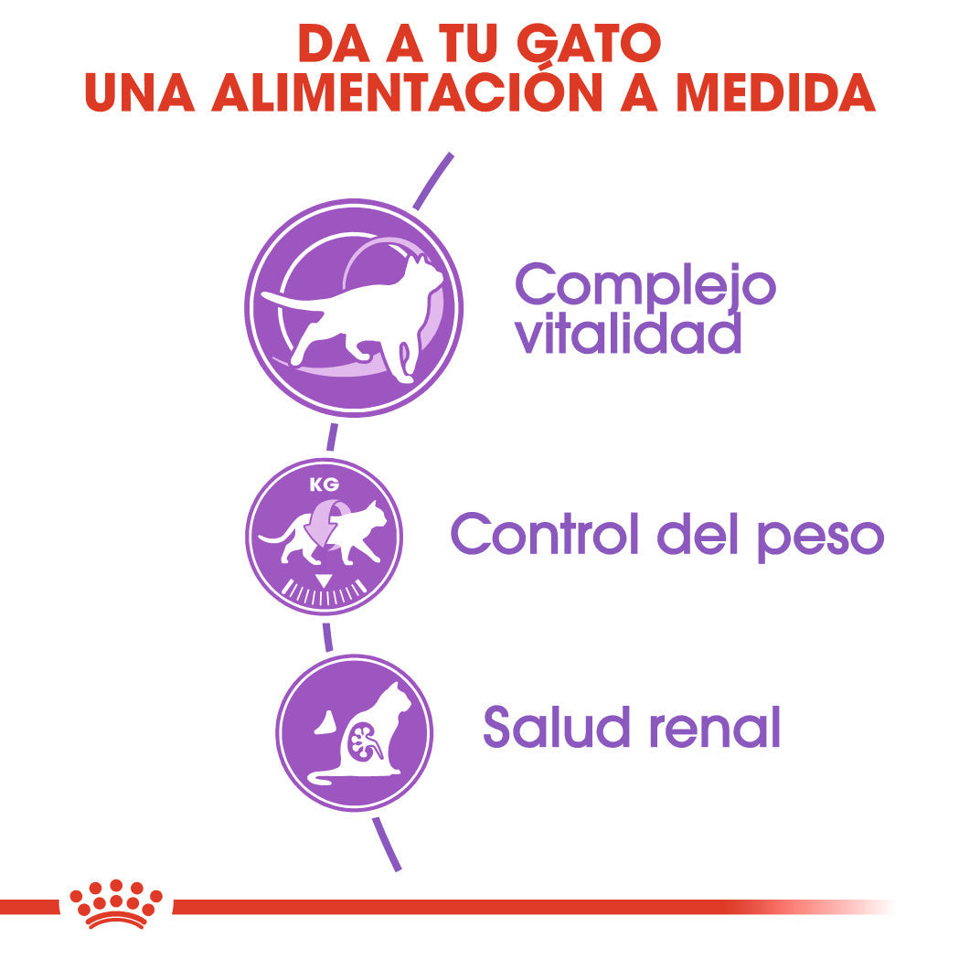 Royal Canin Sterilized 7+ Pienso para Gatos Esterlizados al mejor precio -todoastorenimal.com