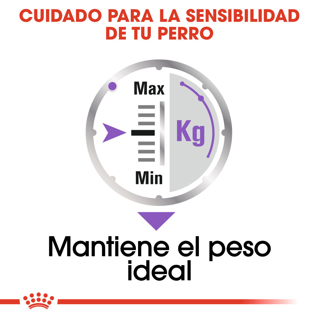 Royal Canin Sterilized Care Paté 85 g Comida Húmeda para Perros al mejor precio -todoastorenimal.com