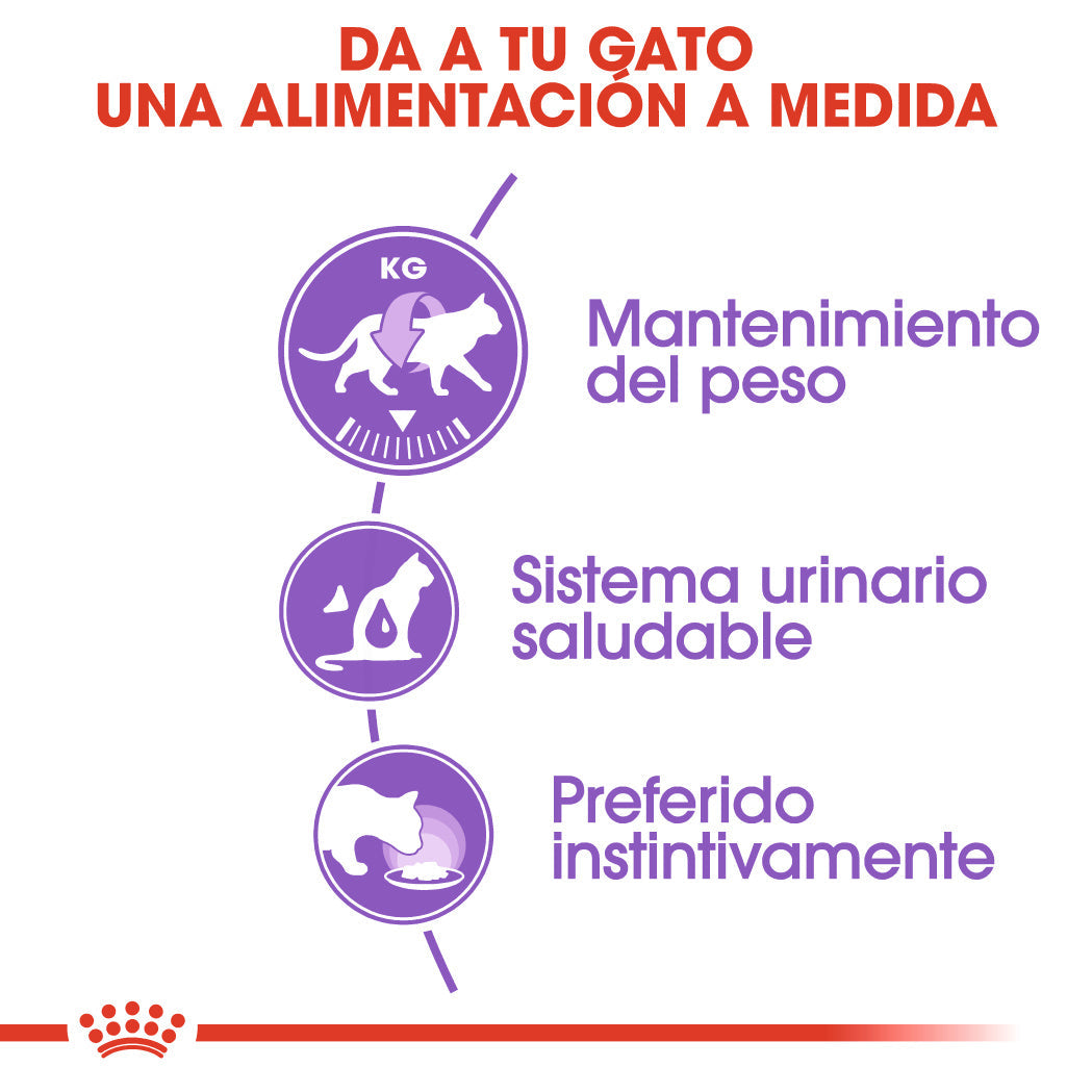 Royal Canin Sterilized Salsa 85 g Comida Húmeda para Gatos al mejor precio -todoastorenimal.com