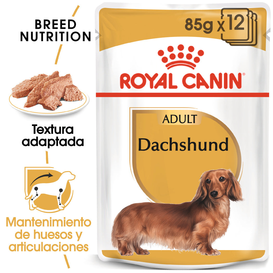 Royal Canin Teckel Dachshund Paté 85 g Comida Húmeda para Perros Salchicha al mejor precio -todoastorenimal.com