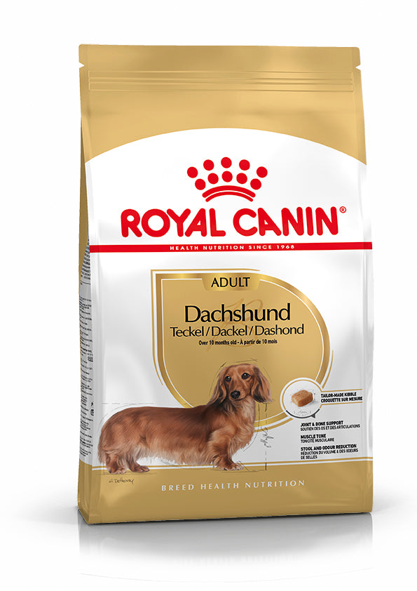 Royal Canin Teckel Dachsund Adulto Pienso para Perros de Raza al mejor precio -todoastorenimal.com
