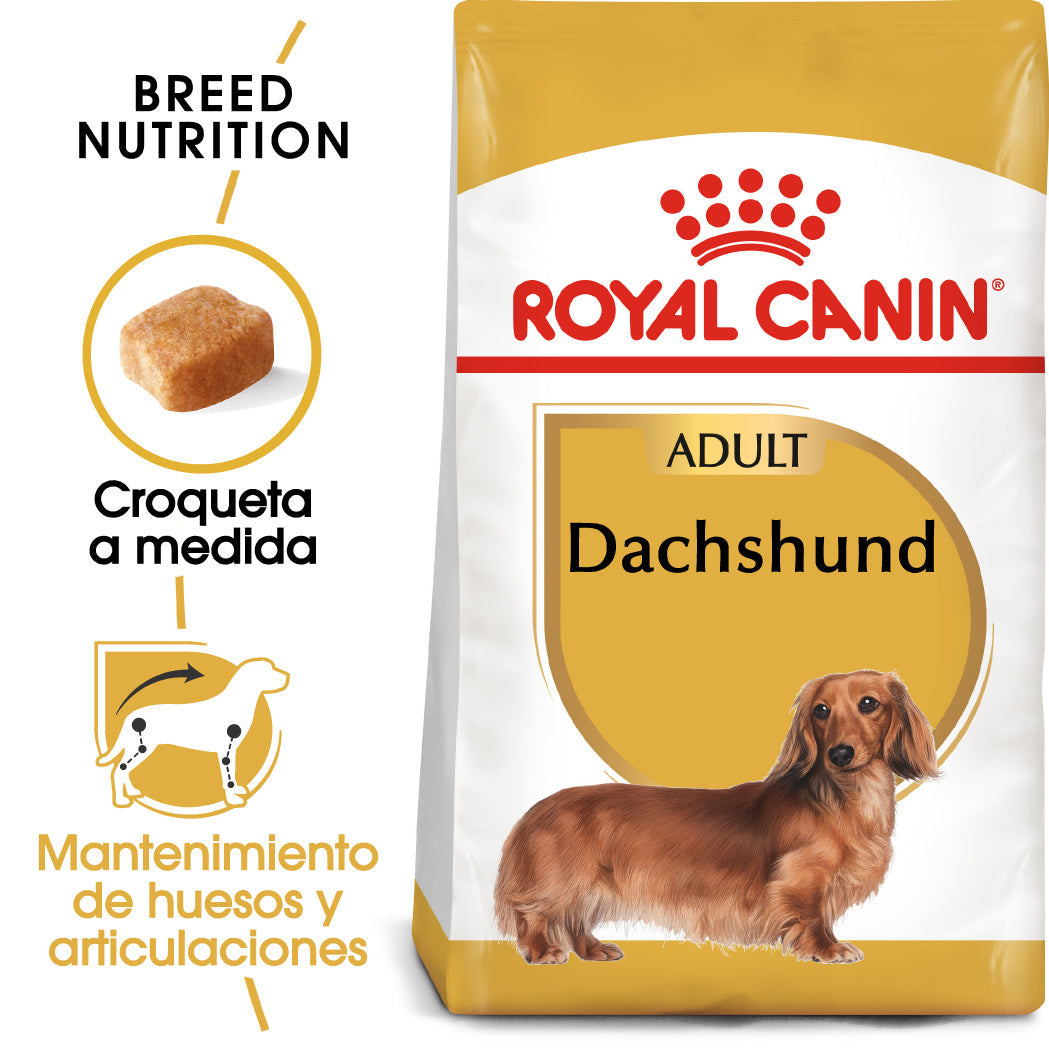 Royal Canin Teckel Dachsund Adulto Pienso para Perros de Raza al mejor precio -todoastorenimal.com
