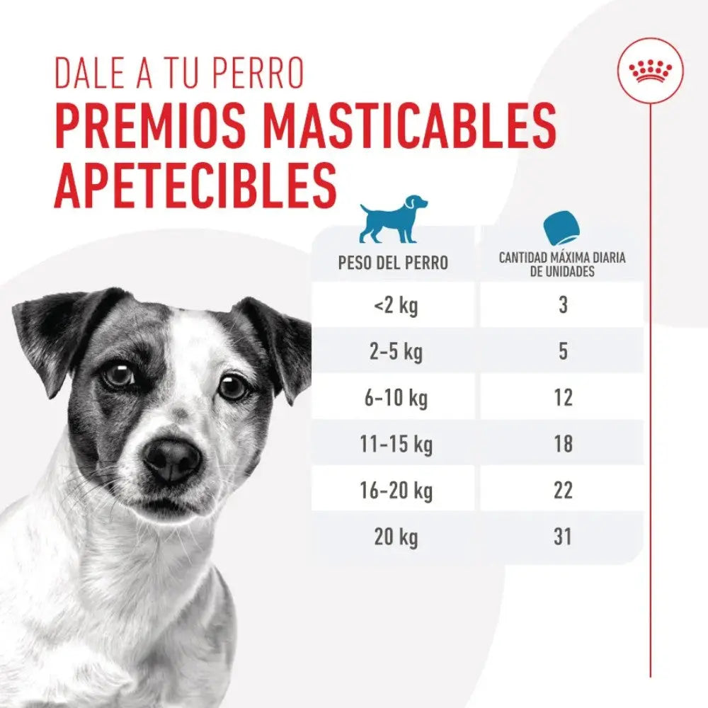 Royal Canin Training 110 g Snack Entrenamiento para Perros al mejor precio -todoastorenimal.com