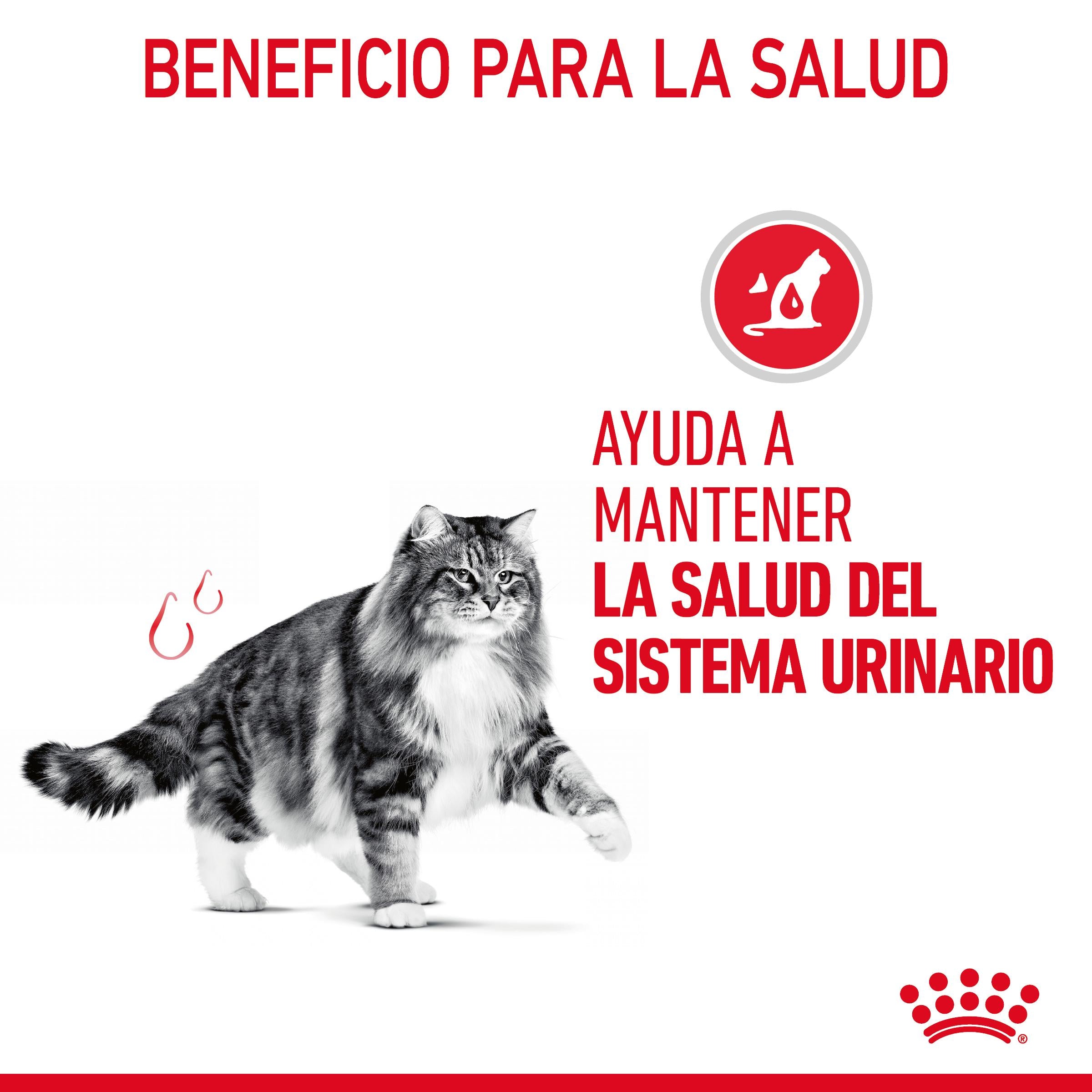 Royal Canin Urinary Care 85 g Salsa Comida Húmeda para Gatos al mejor precio -todoastorenimal.com