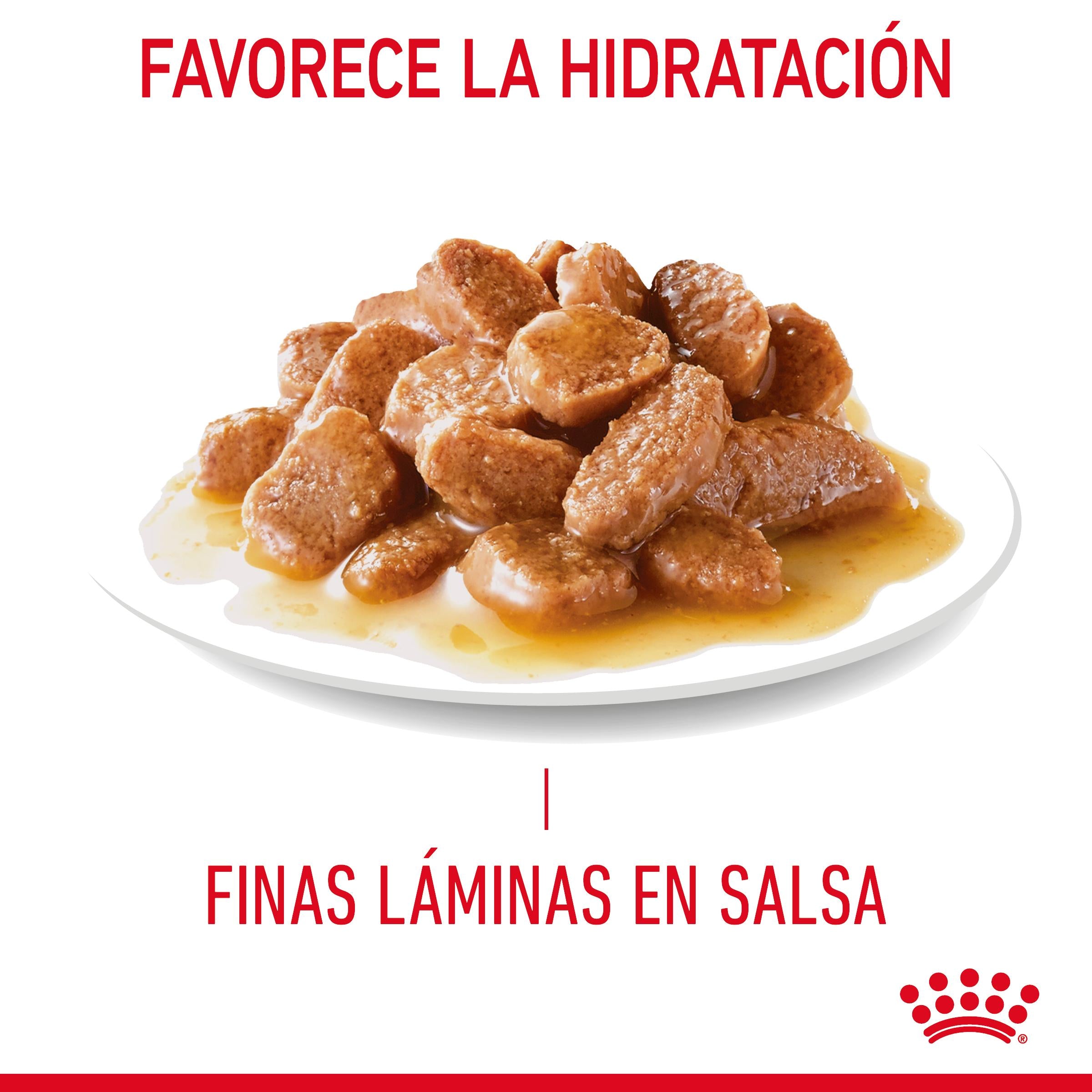 Royal Canin Urinary Care 85 g Salsa Comida Húmeda para Gatos al mejor precio -todoastorenimal.com