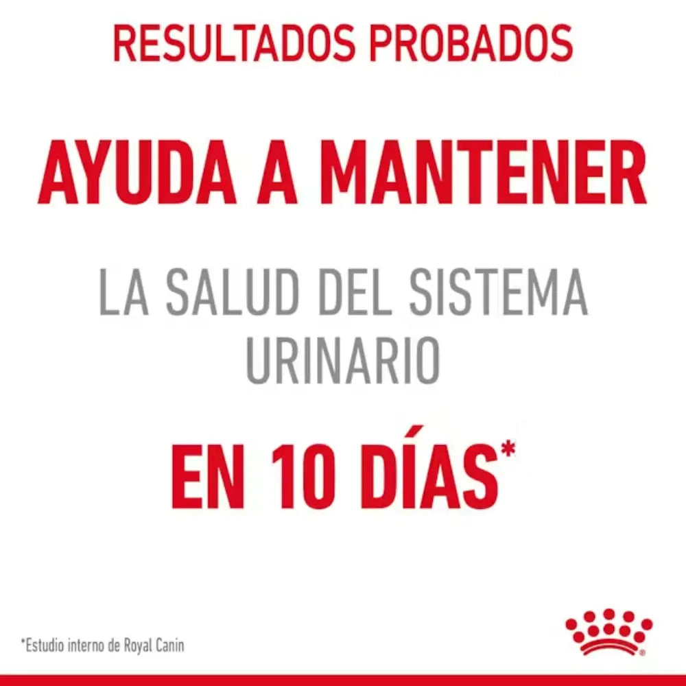 Royal Canin Urinary Care Gatos al mejor precio -todoastorenimal.com