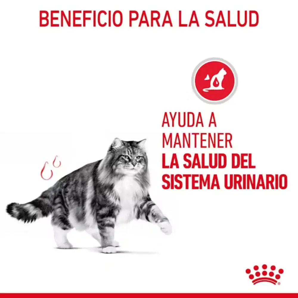 Royal Canin Urinary Care Gatos al mejor precio -todoastorenimal.com
