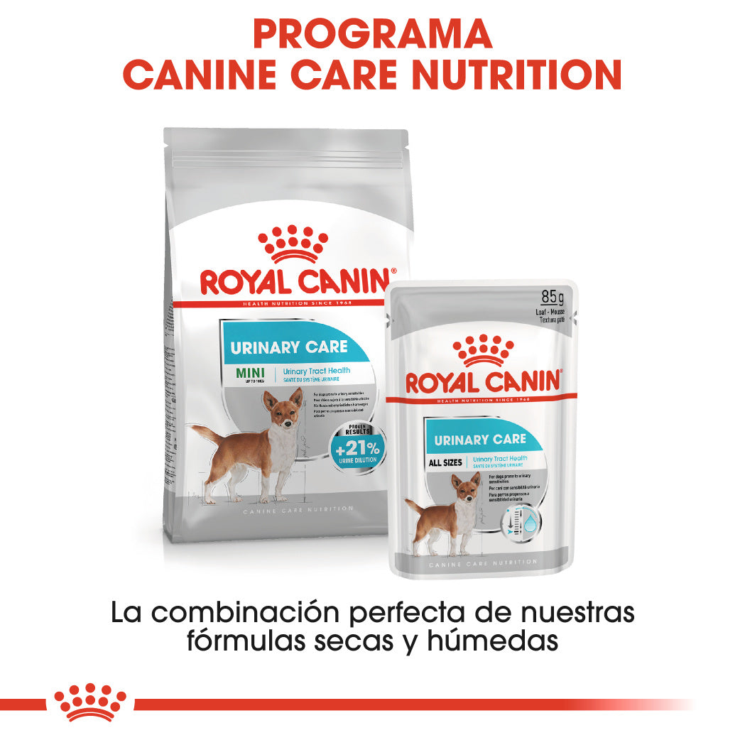 Royal Canin Urinary Care Paté 85 g Comida Húmeda para Perros al mejor precio -todoastorenimal.com
