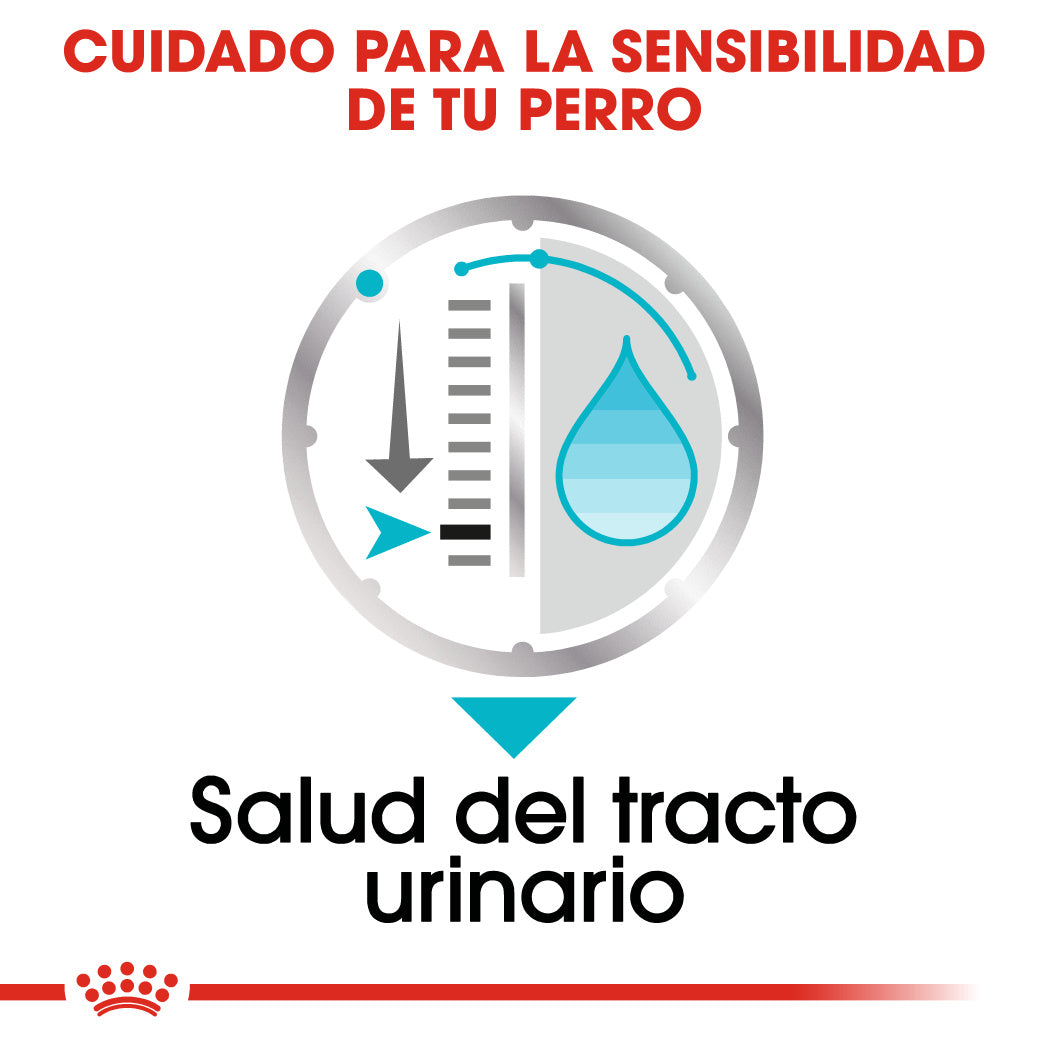 Royal Canin Urinary Care Paté 85 g Comida Húmeda para Perros al mejor precio -todoastorenimal.com