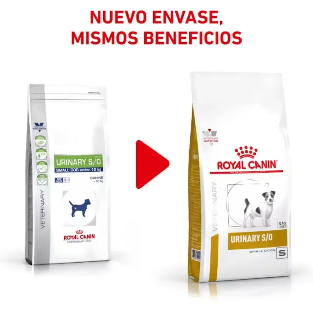Royal Canin Urinary Small S/O 1.5 kg Alimentación para Perros Pequeños al mejor precio -todoastorenimal.com