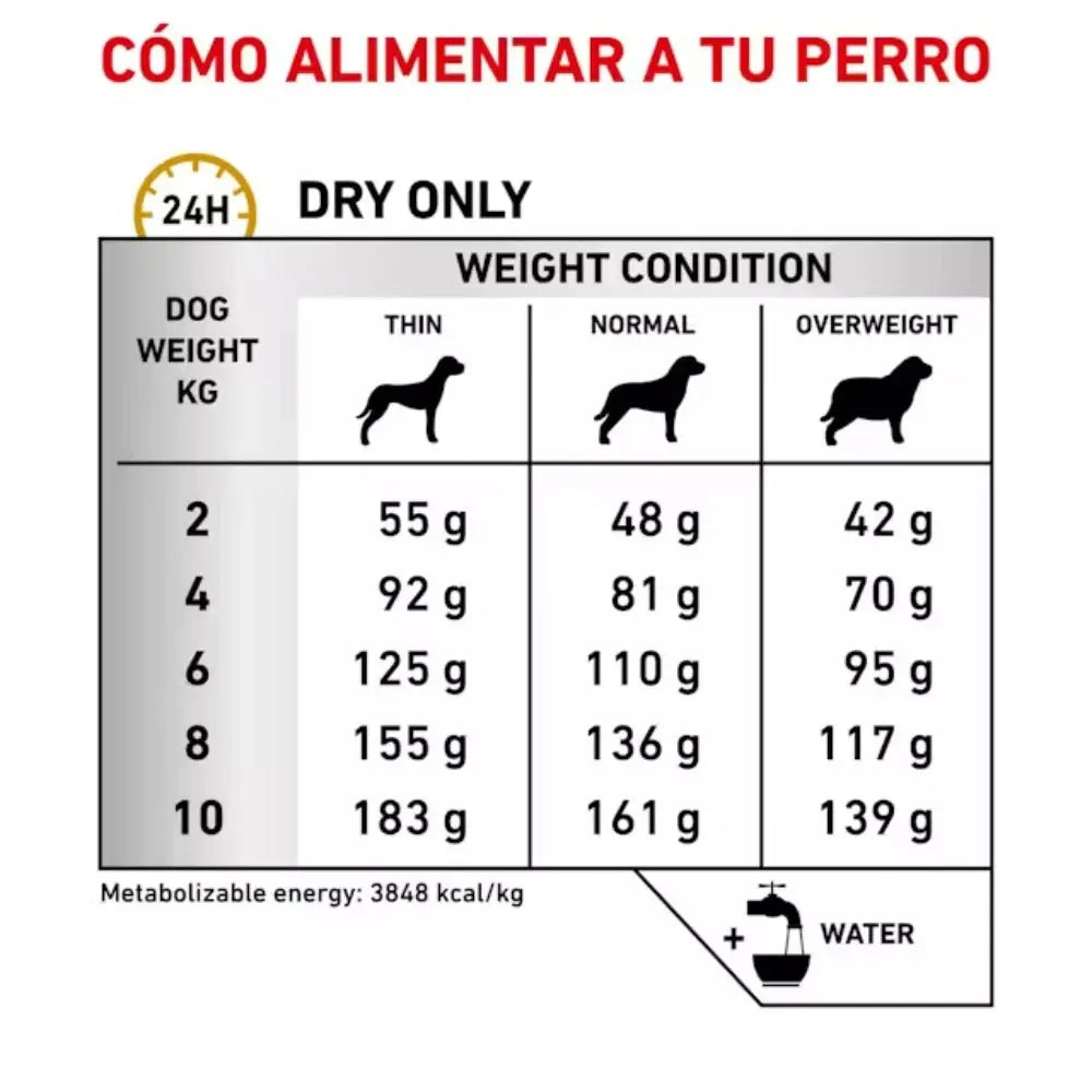 Royal Canin Urinary Small S/O 1.5 kg Alimentación para Perros Pequeños al mejor precio -todoastorenimal.com