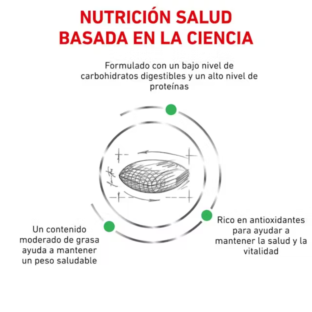 Royal Canin Veterinary Diabetic Pienso para Gatos Diabéticos al mejor precio -todoastorenimal.com