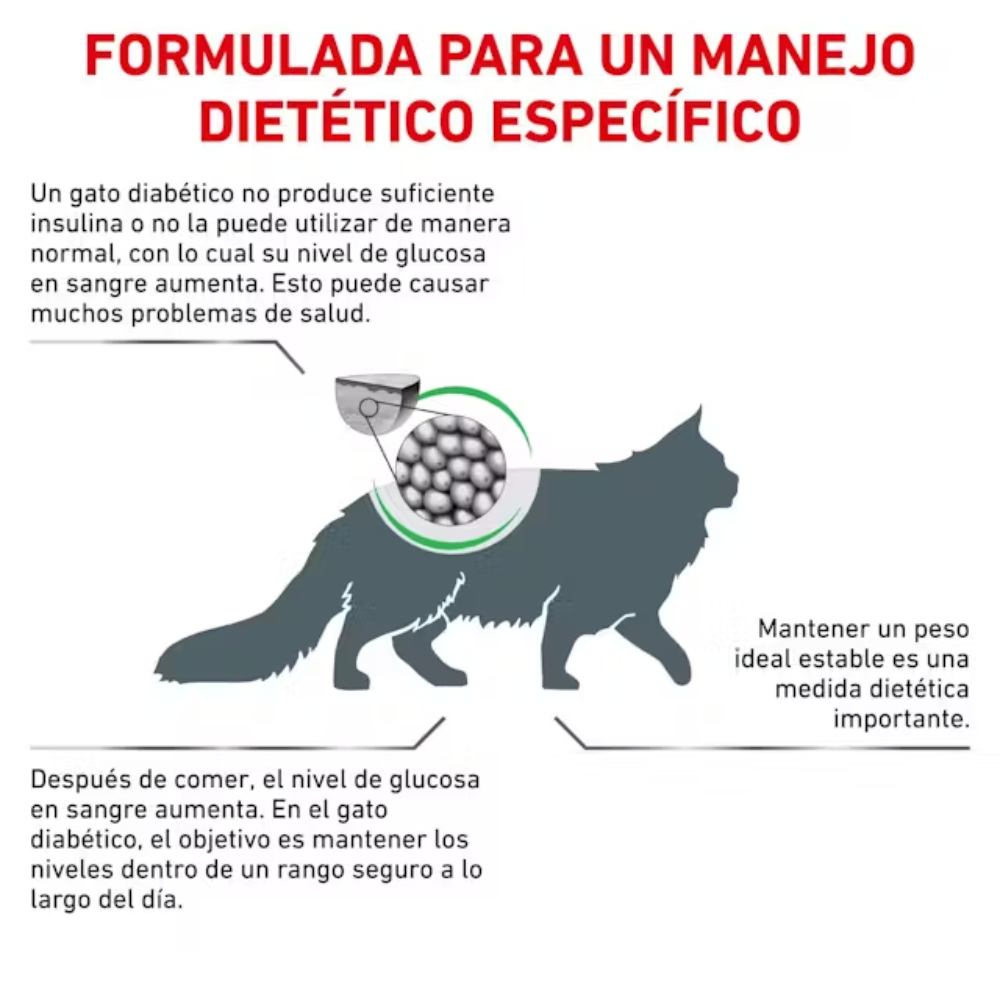 Royal Canin Veterinary Diabetic Pienso para Gatos Diabéticos al mejor precio -todoastorenimal.com