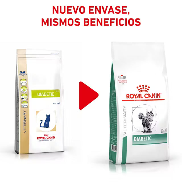 Royal Canin Veterinary Diabetic Pienso para Gatos Diabéticos al mejor precio -todoastorenimal.com