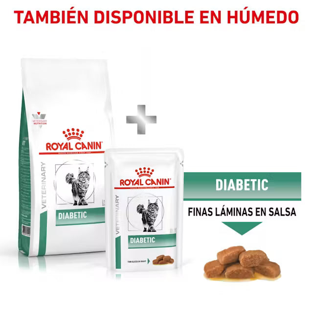 Royal Canin Veterinary Diabetic Pienso para Gatos Diabéticos al mejor precio -todoastorenimal.com