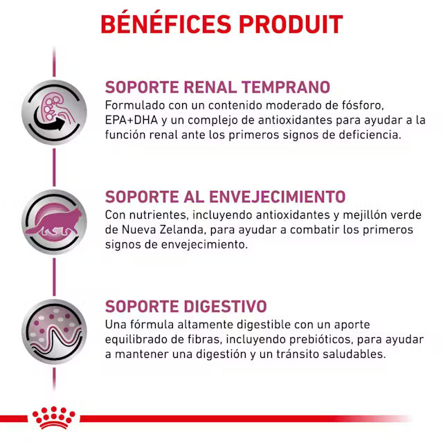 Royal Canin Veterinary Early Renal Pienso para Gato al mejor precio -todoastorenimal.com