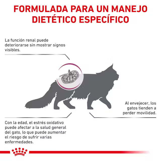 Royal Canin Veterinary Early Renal Pienso para Gato al mejor precio -todoastorenimal.com