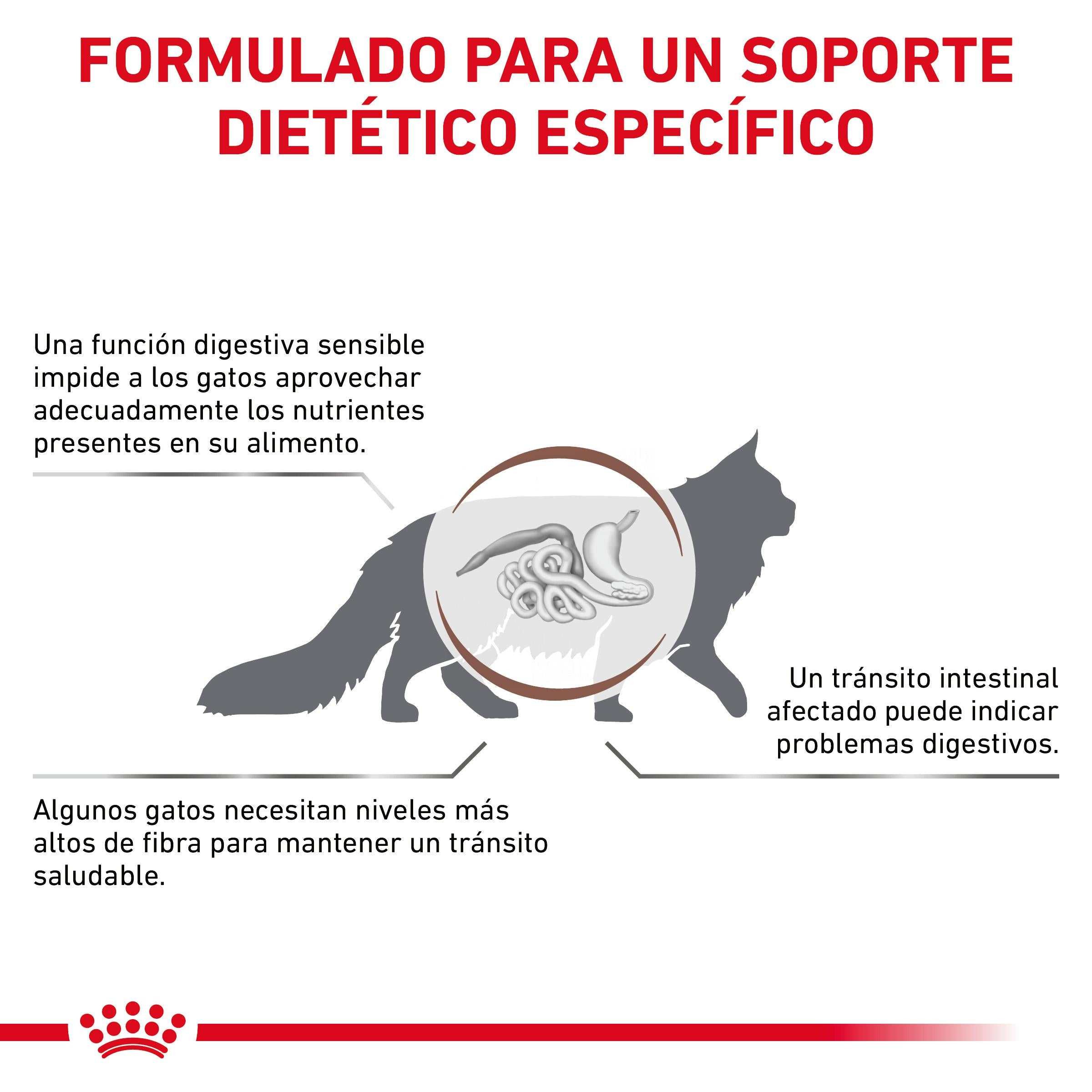 Royal Canin Veterinary Fibre Response Pienso Gastrointestinal para Gatos al mejor precio -todoastorenimal.com