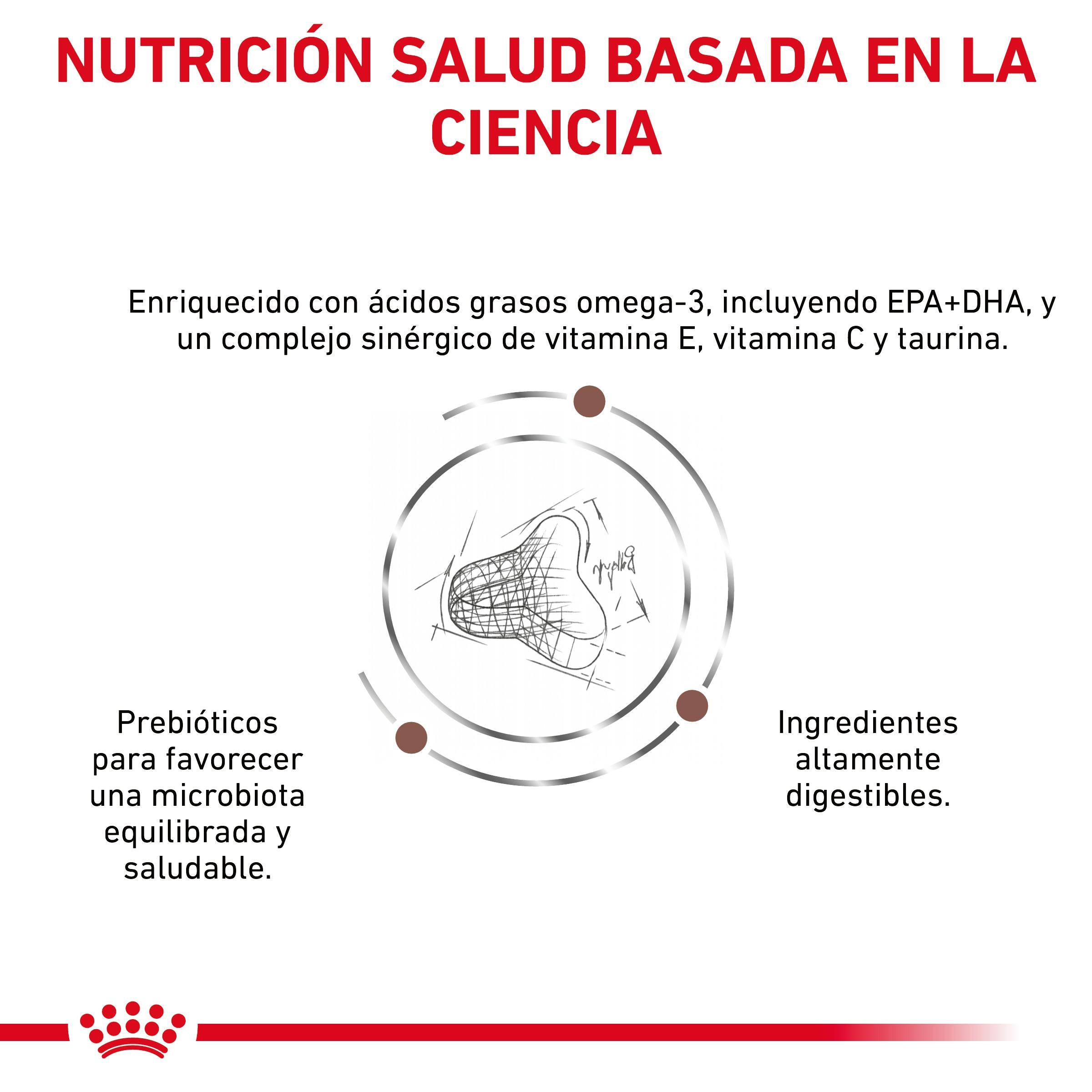 Royal Canin Veterinary Fibre Response Pienso Gastrointestinal para Gatos al mejor precio -todoastorenimal.com
