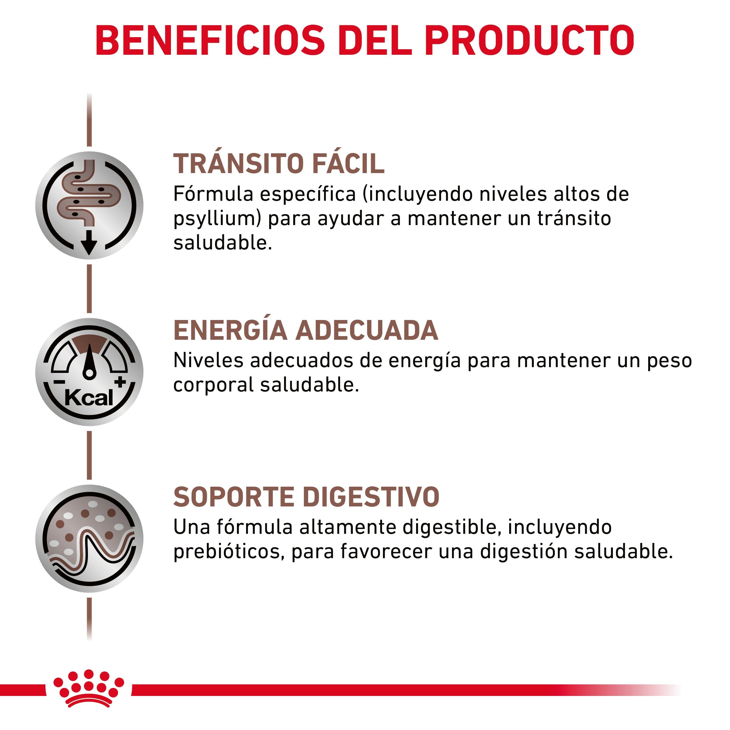 Royal Canin Veterinary Fibre Response Pienso Gastrointestinal para Gatos al mejor precio -todoastorenimal.com