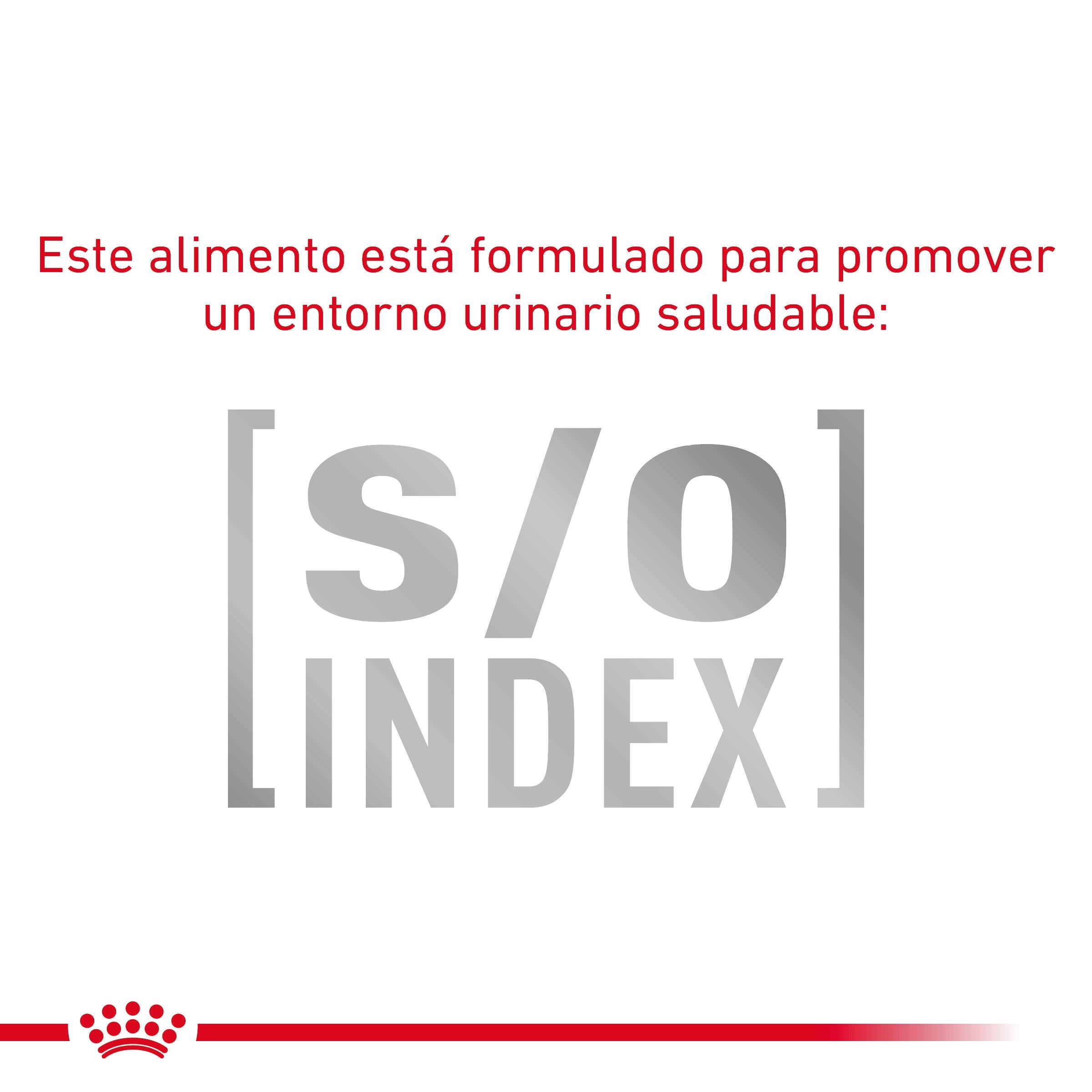 Royal Canin Veterinary Fibre Response Pienso Gastrointestinal para Gatos al mejor precio -todoastorenimal.com