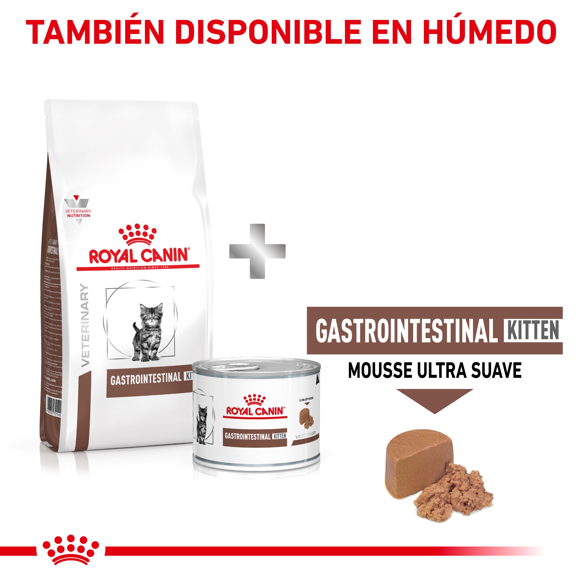 Royal Canin Veterinary Gastrointestinal Kitten Pienso Digestivo para Gatitos al mejor precio -todoastorenimal.com