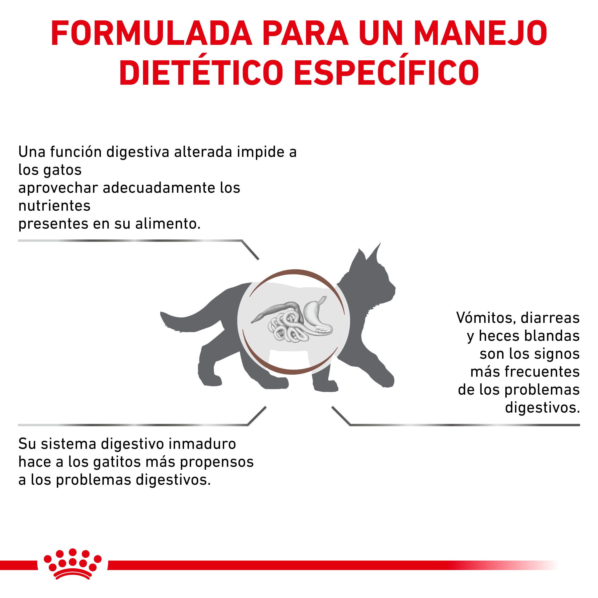 Royal Canin Veterinary Gastrointestinal Kitten Pienso Digestivo para Gatitos al mejor precio -todoastorenimal.com