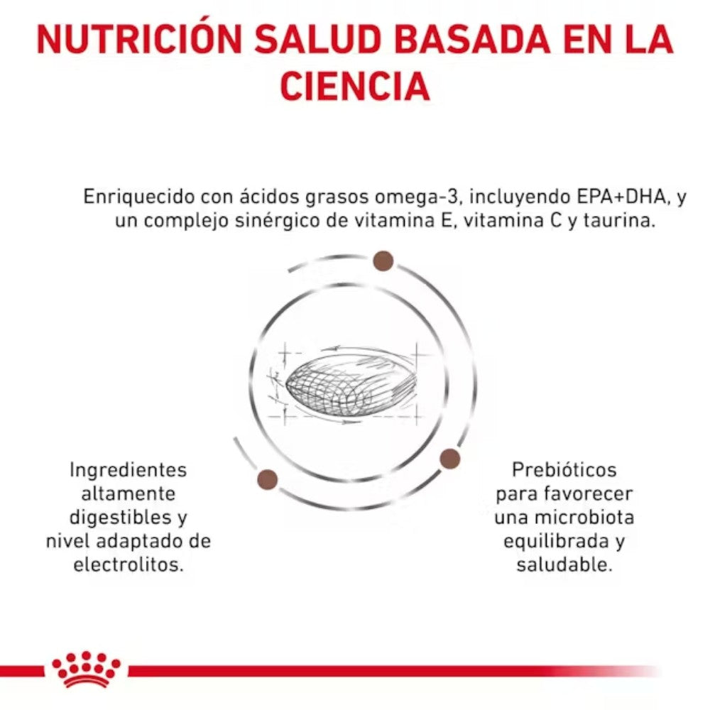 Royal Canin Veterinary Gastrointestinal Low Fat Small Dog Pienso para Perros al mejor precio -todoastorenimal.com