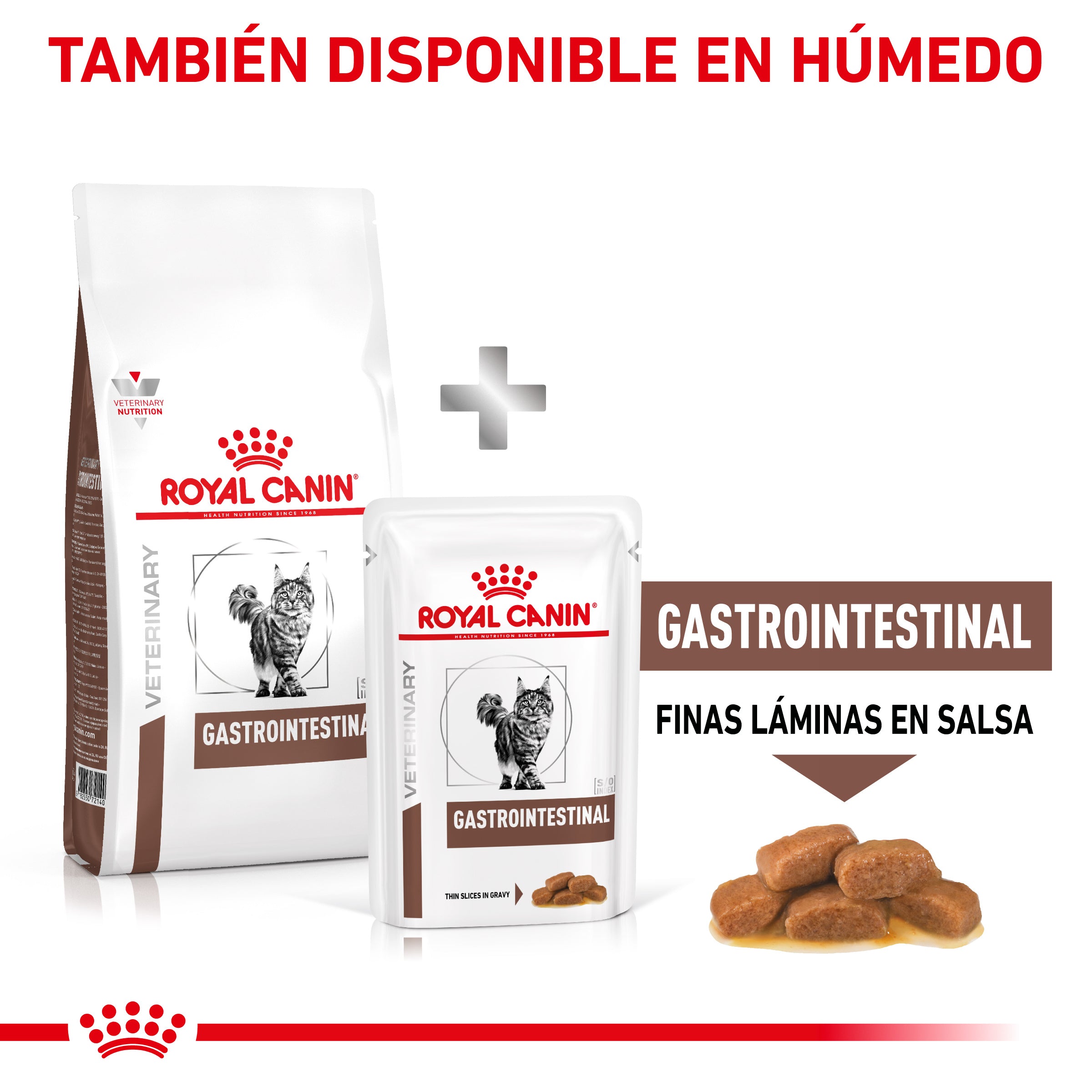 Royal Canin Veterinary Gastrointestinal Pienso para Gatos al mejor precio -todoastorenimal.com