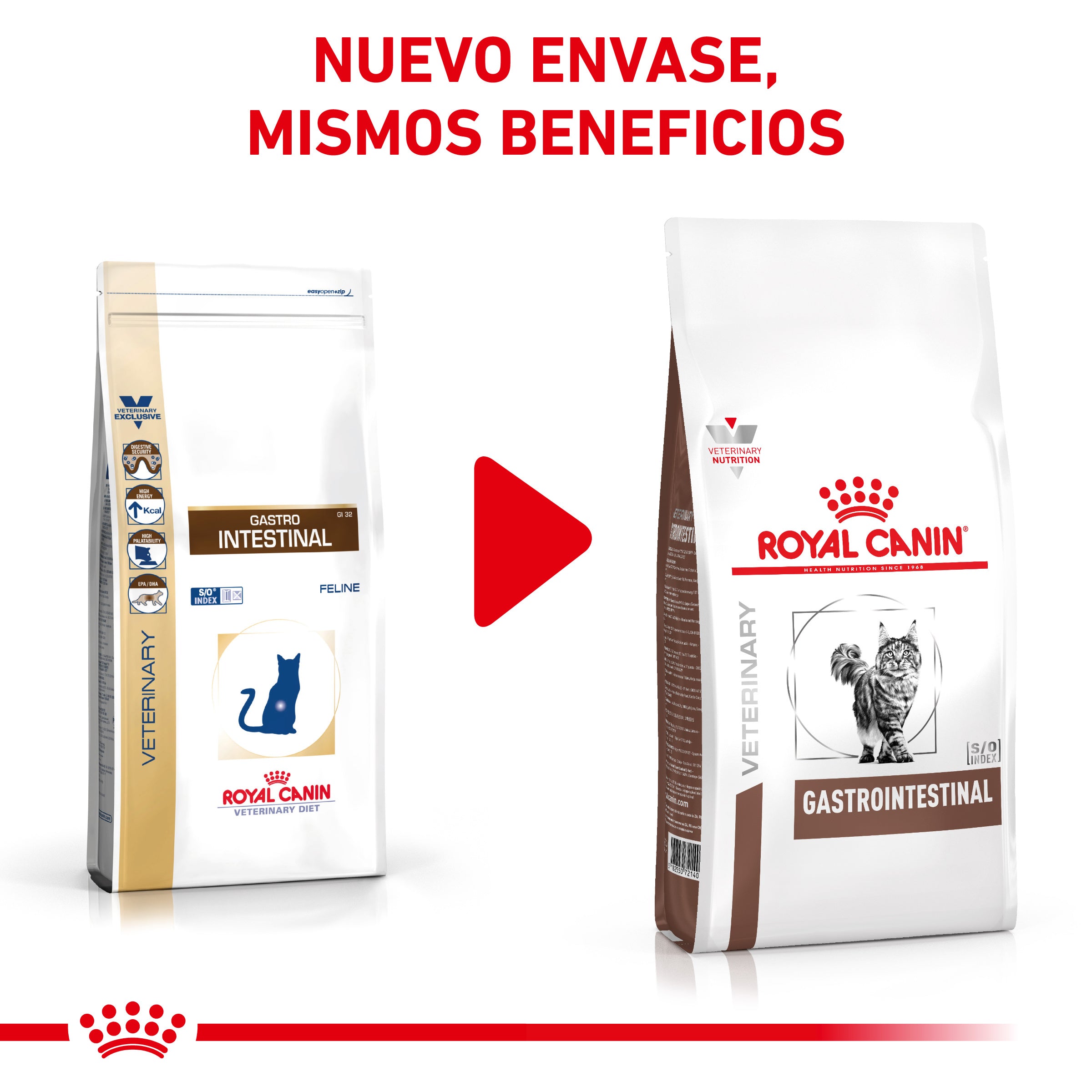 Royal Canin Veterinary Gastrointestinal Pienso para Gatos al mejor precio -todoastorenimal.com