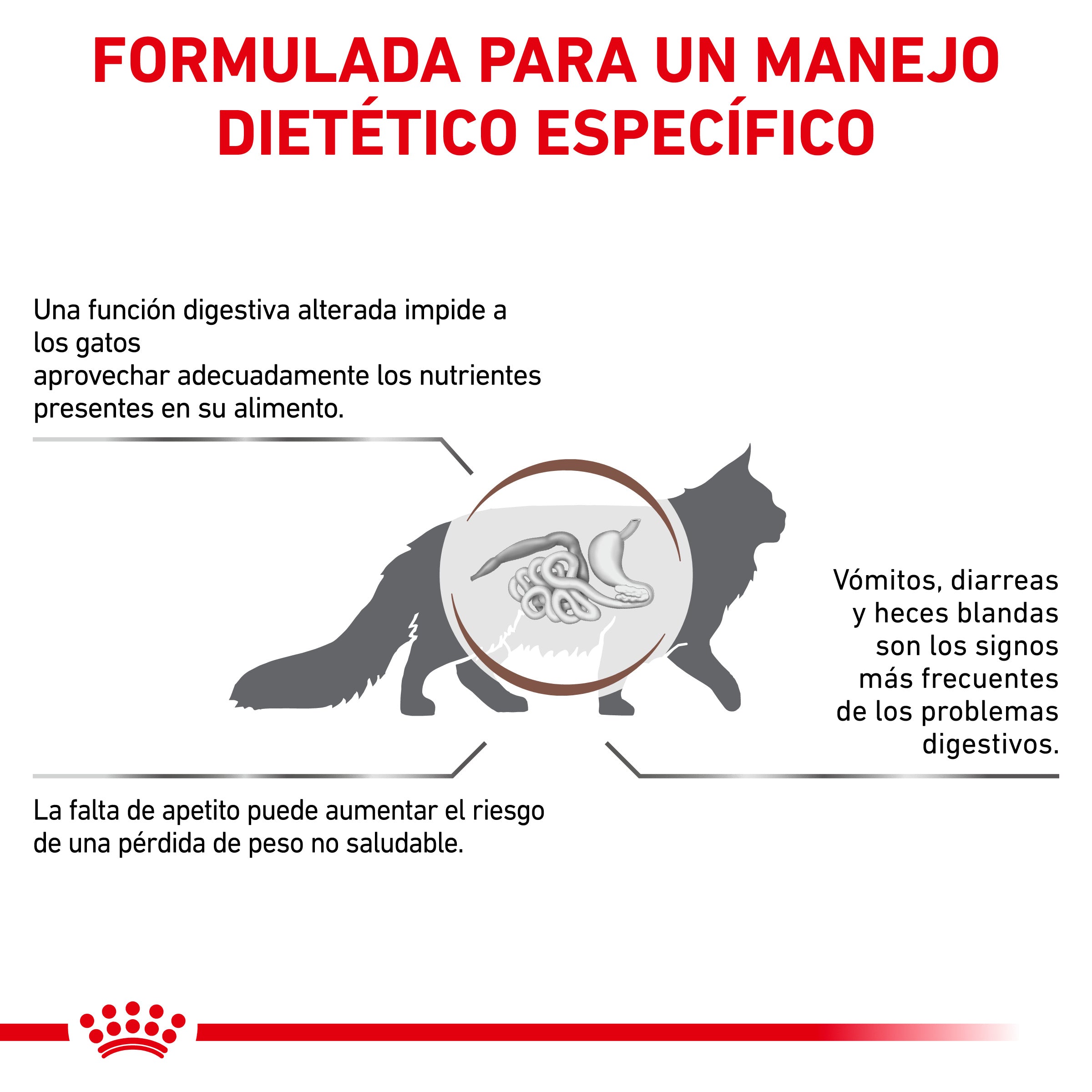Royal Canin Veterinary Gastrointestinal Pienso para Gatos al mejor precio -todoastorenimal.com