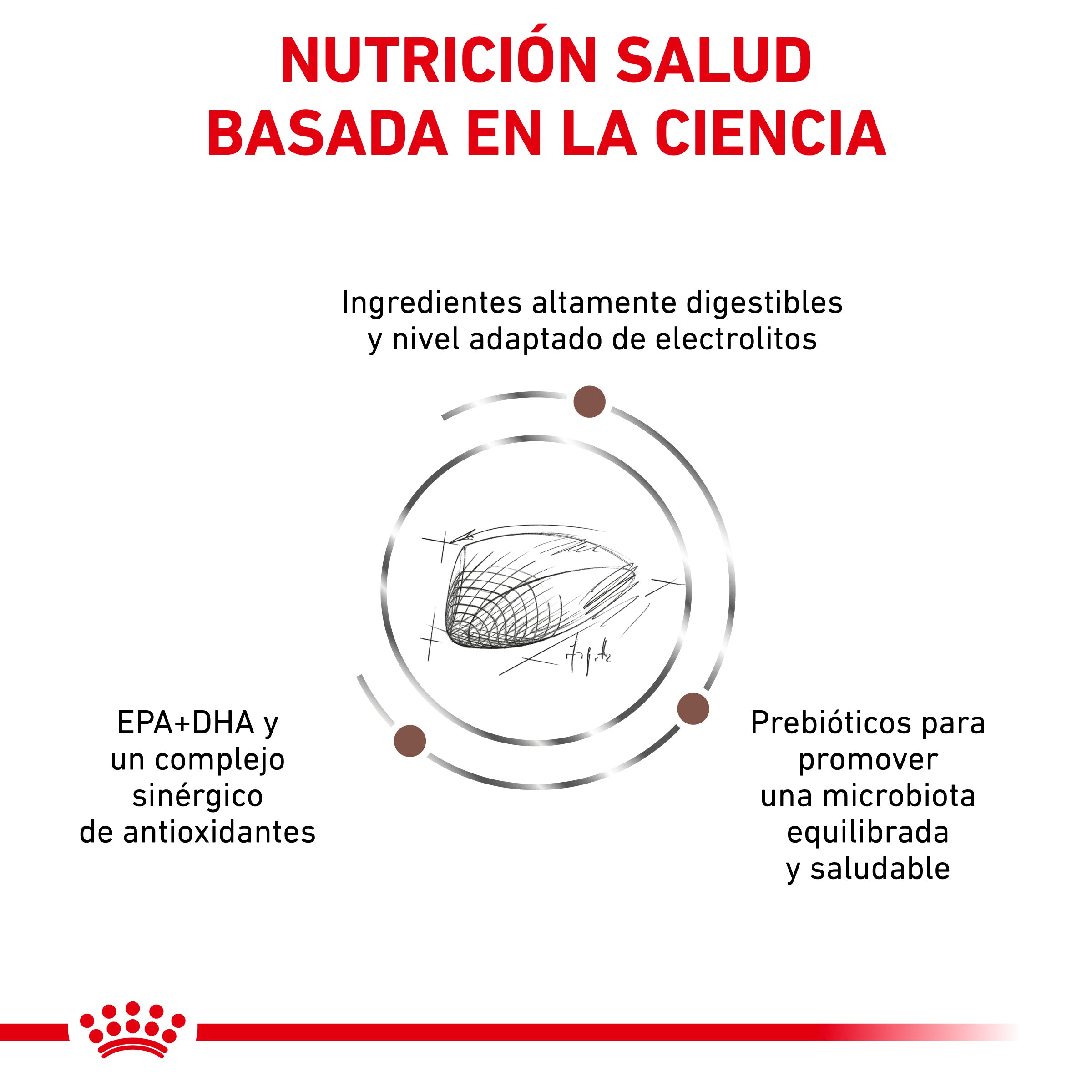 Royal Canin Veterinary Gastrointestinal Pienso para Gatos al mejor precio -todoastorenimal.com