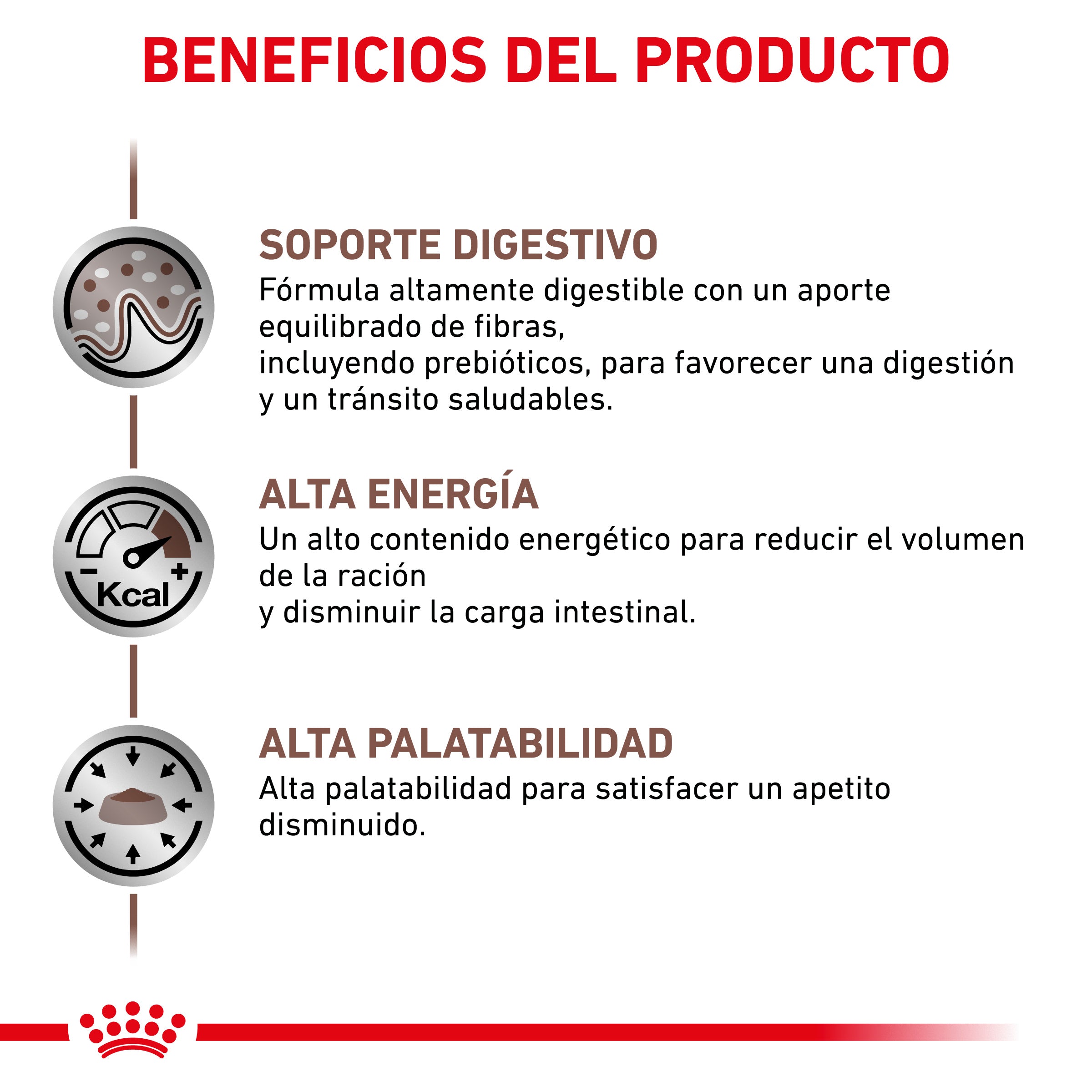 Royal Canin Veterinary Gastrointestinal Pienso para Gatos al mejor precio -todoastorenimal.com