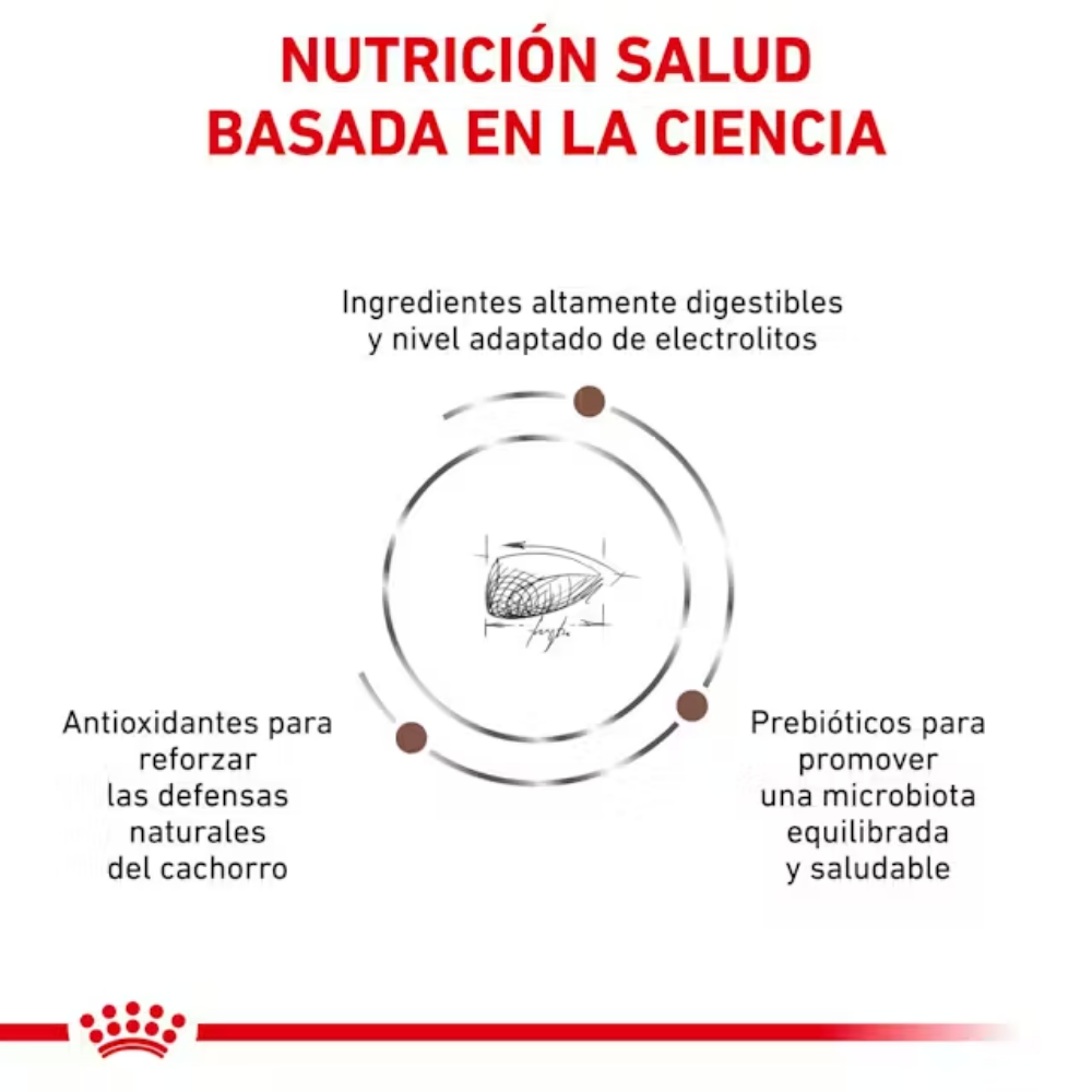 Royal Canin Veterinary Gastrointestinal Puppy 2.5 kg Perro al mejor precio -todoastorenimal.com