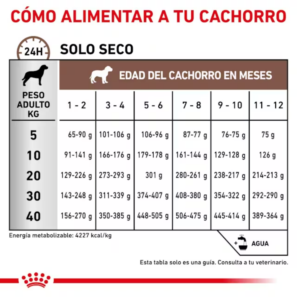 Royal Canin Veterinary Gastrointestinal Puppy 2.5 kg Perro al mejor precio -todoastorenimal.com