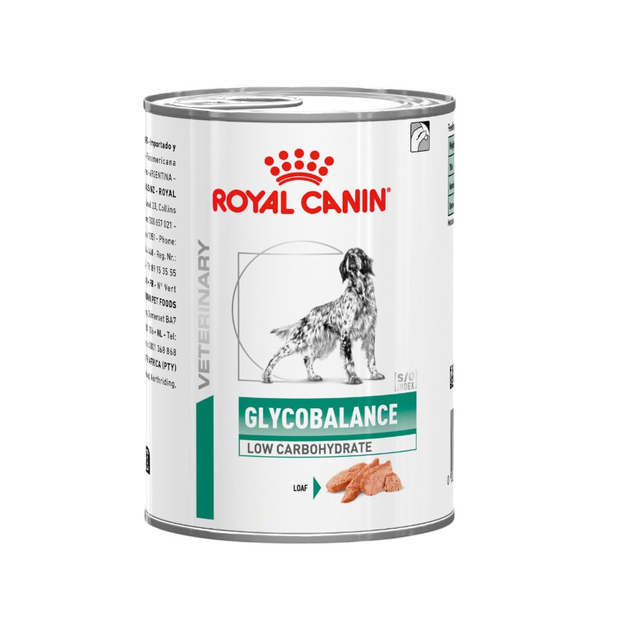 Royal Canin Veterinary GlycoBalance Diabetes Comida Húmeda para Perros al mejor precio -todoastorenimal.com