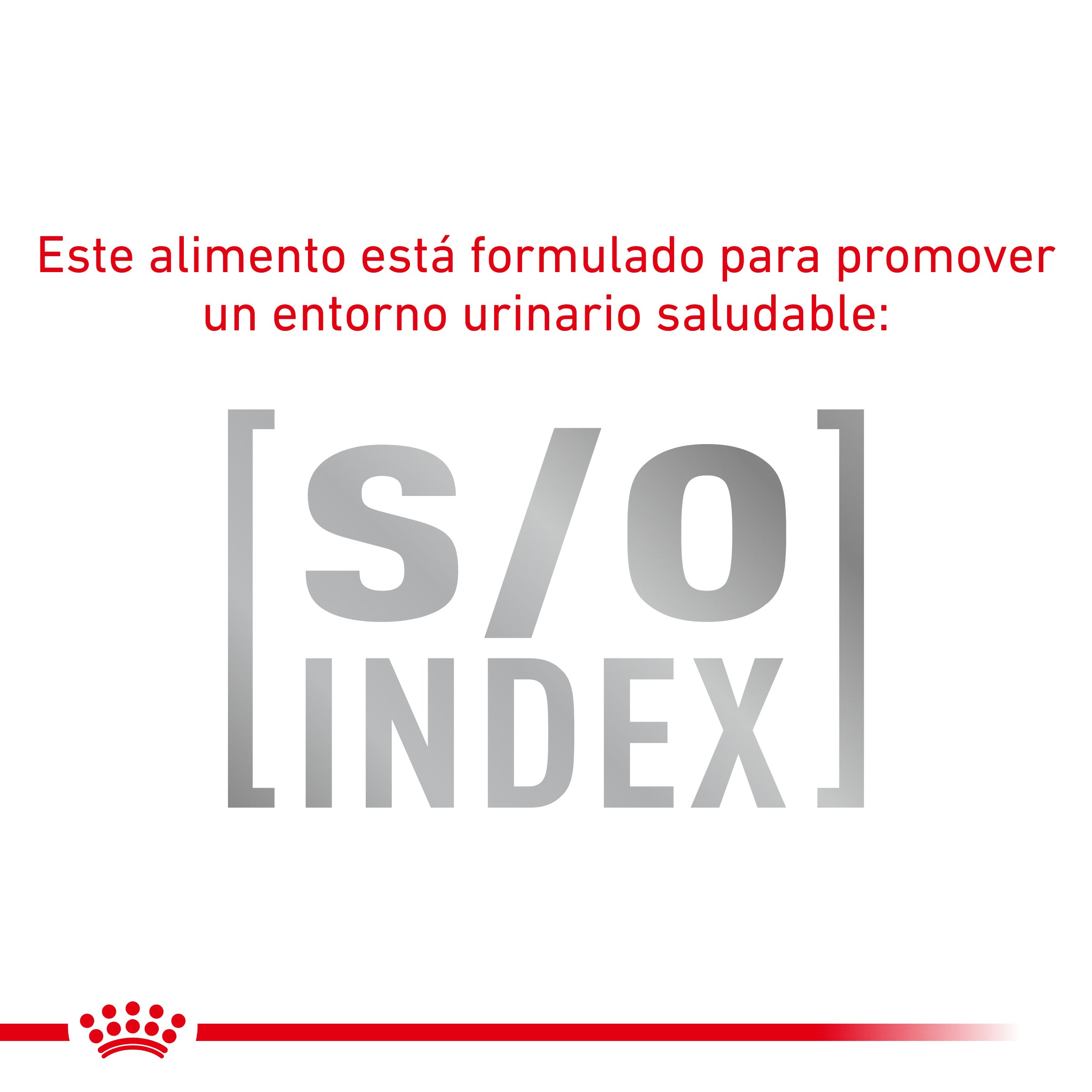 Royal Canin Veterinary Hypoallergenic Pienso para Gatos al mejor precio -todoastorenimal.com