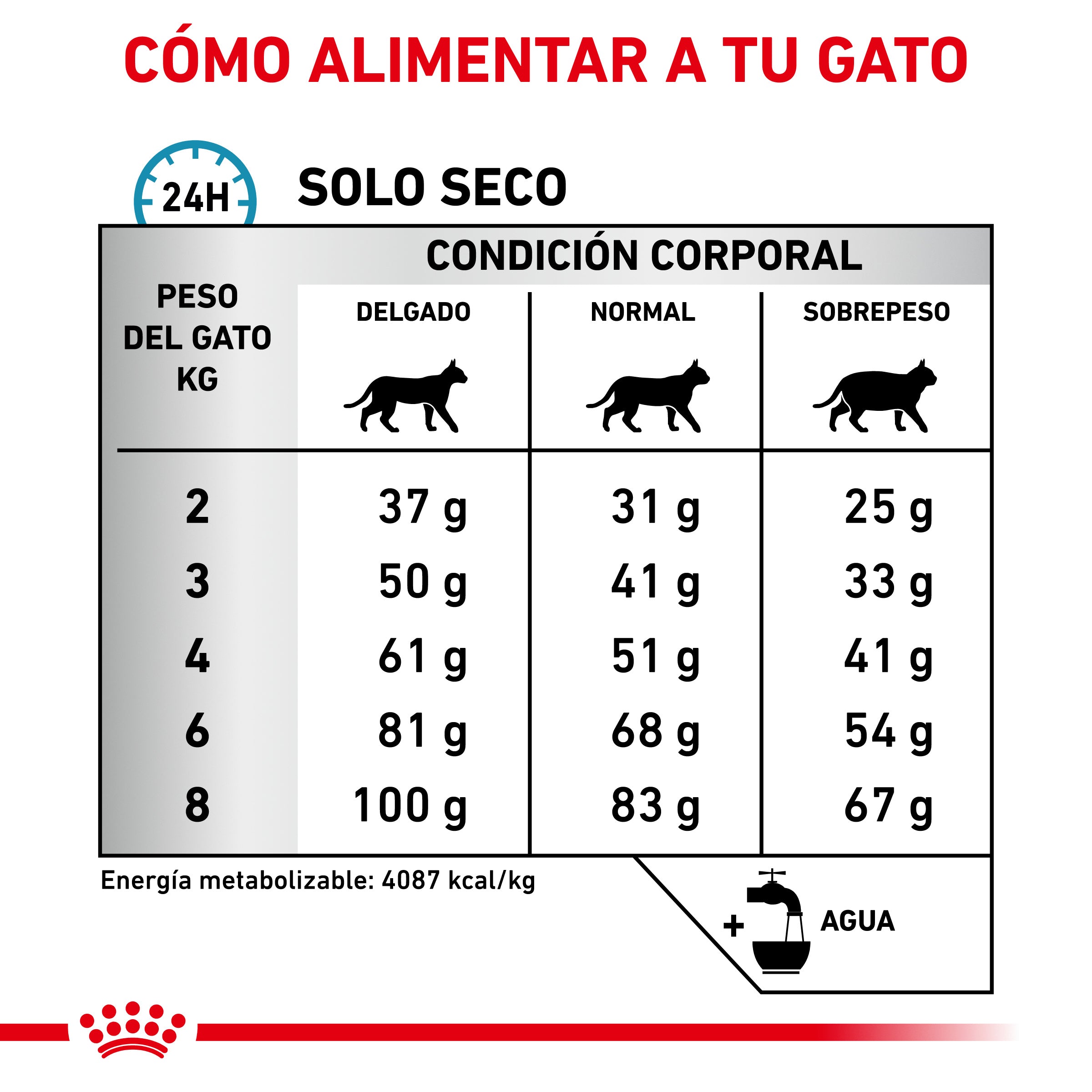 Royal Canin Veterinary Hypoallergenic Pienso para Gatos al mejor precio -todoastorenimal.com